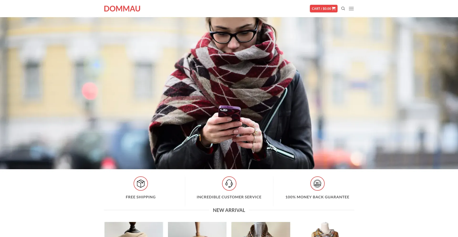 Website screenshot of Dommau.com