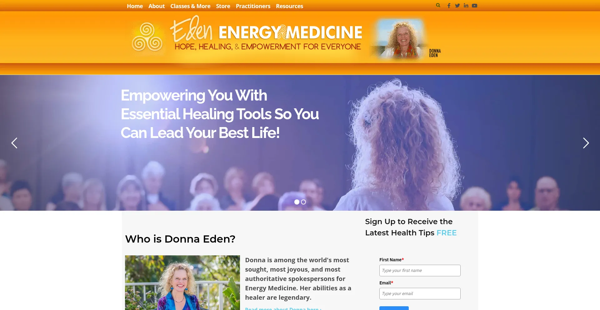 Website screenshot of Donnaeden.com