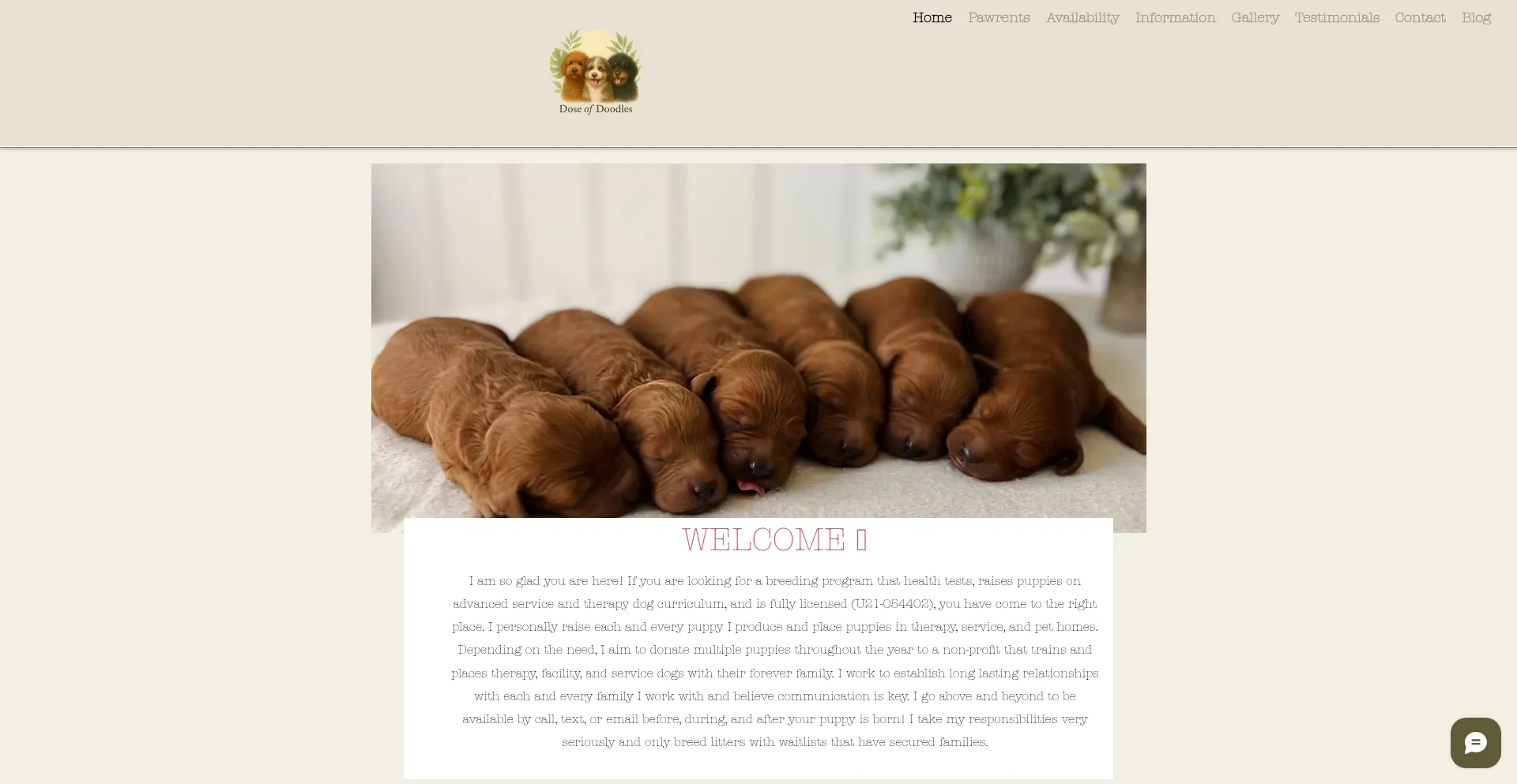 Doseofdoodles.com