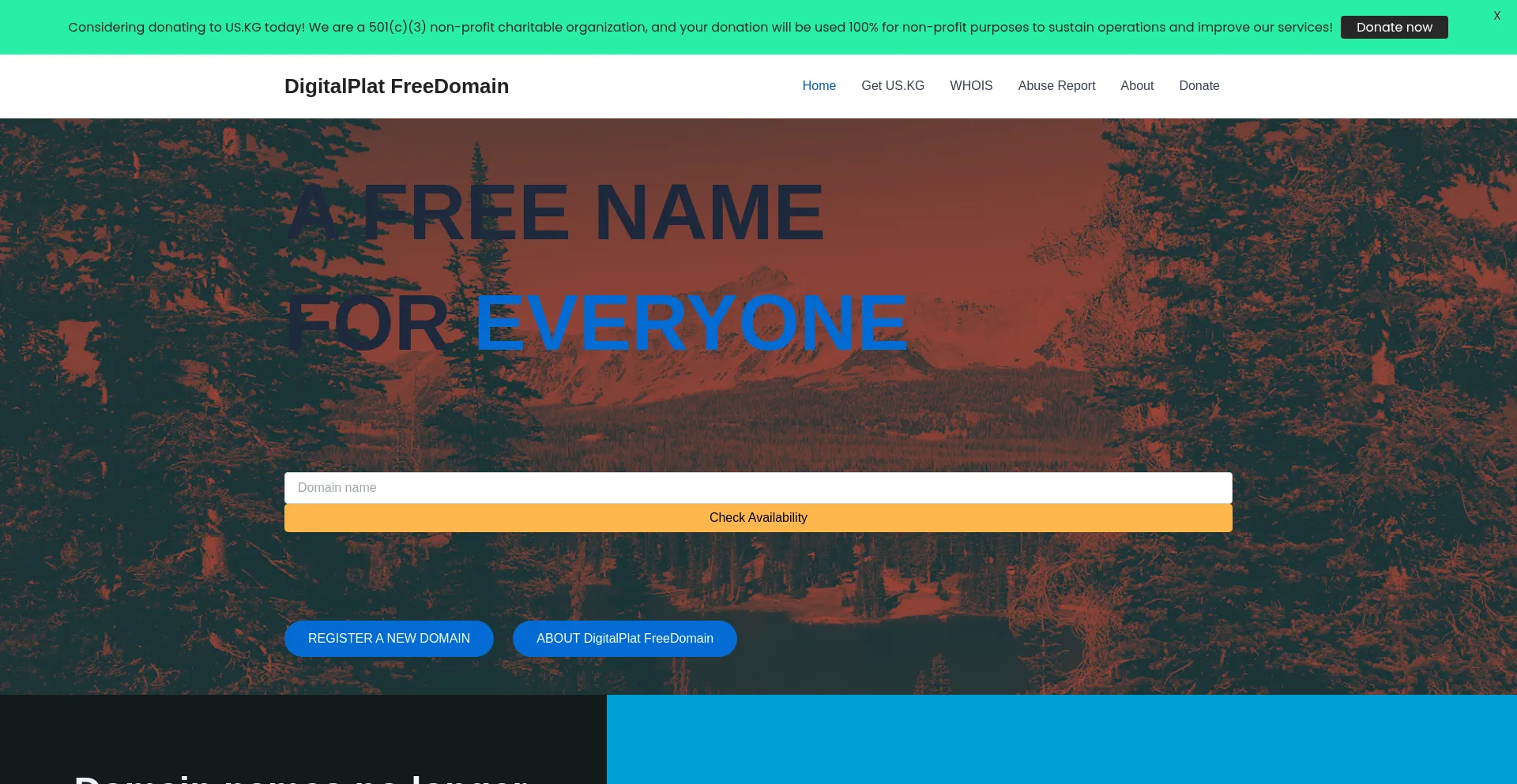 Website screenshot of Dpdns.org