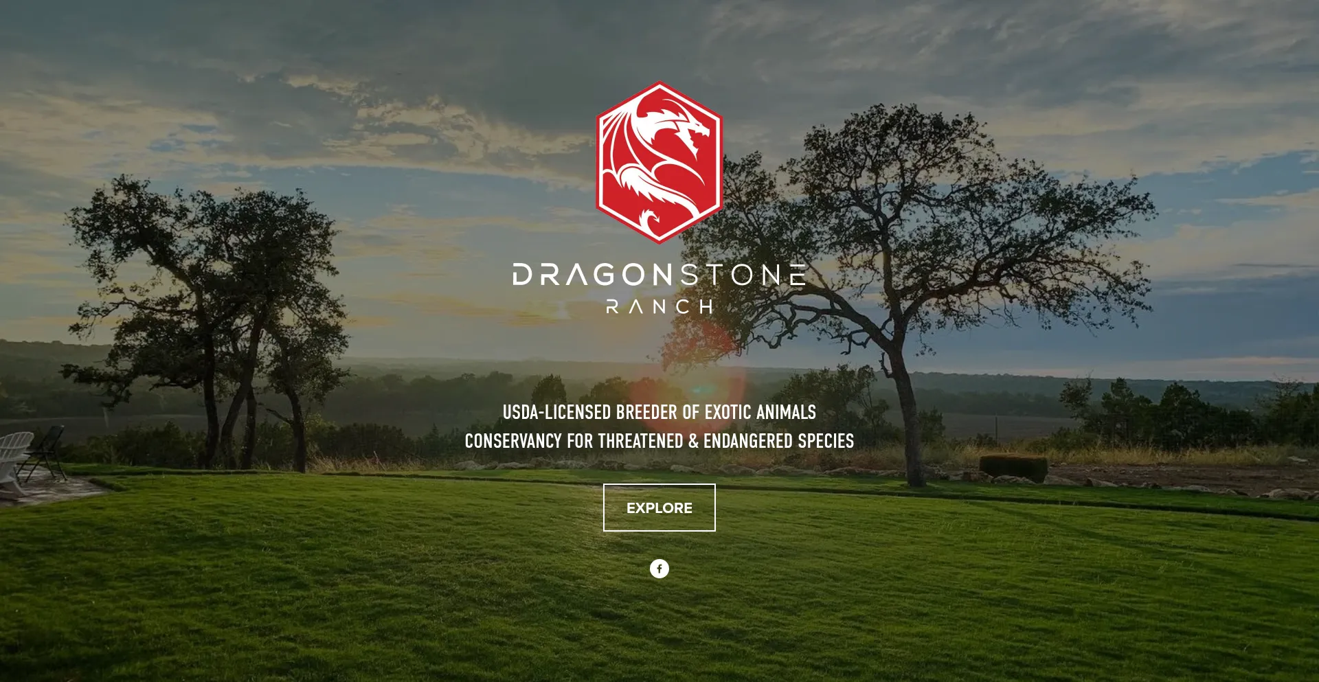 Website screenshot of Dragonstoneranch.com