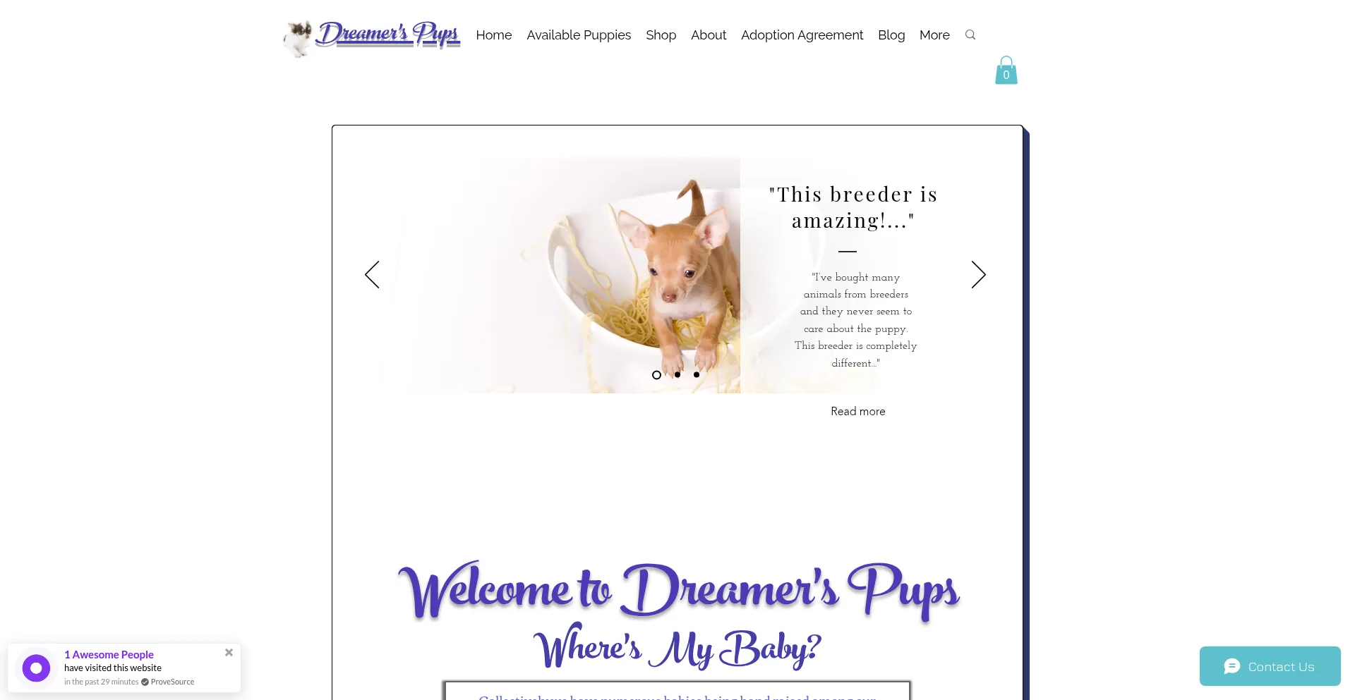 Dreamerspups.com
