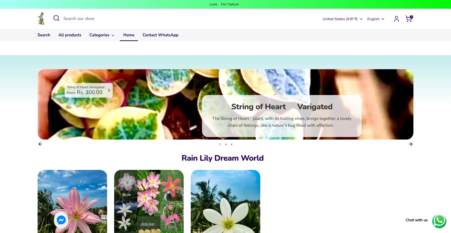 Dreamworldplants.in