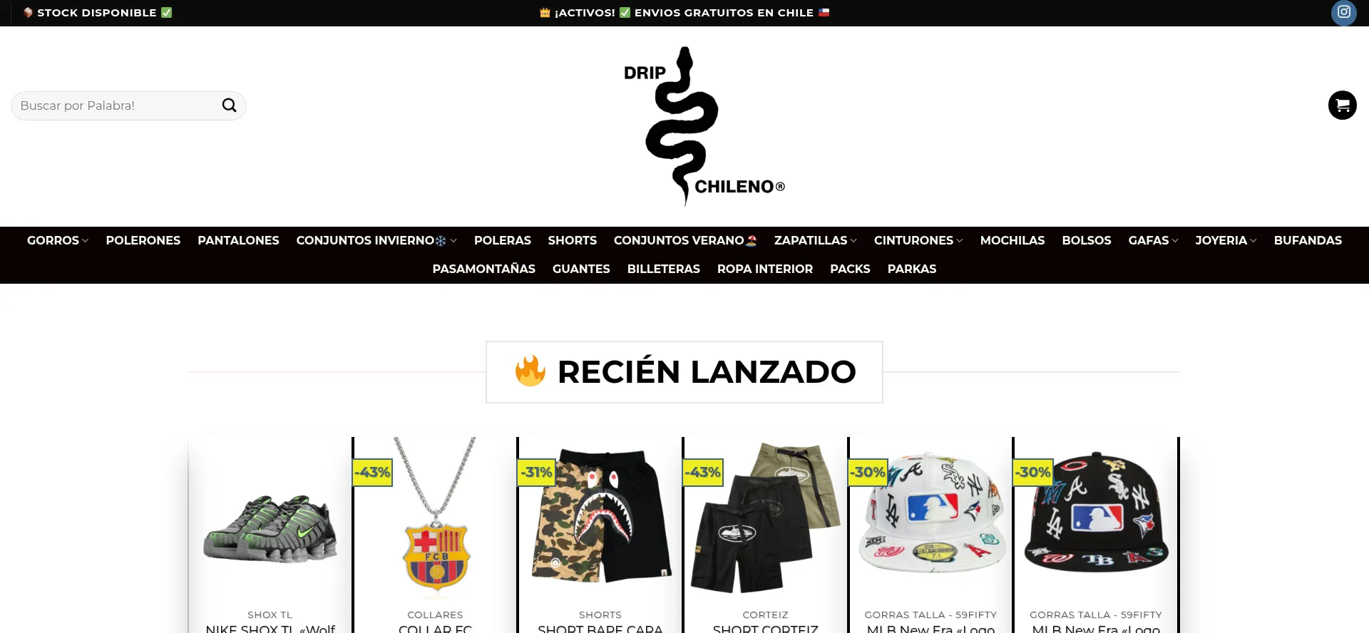 Website screenshot of Dripchileno.cl
