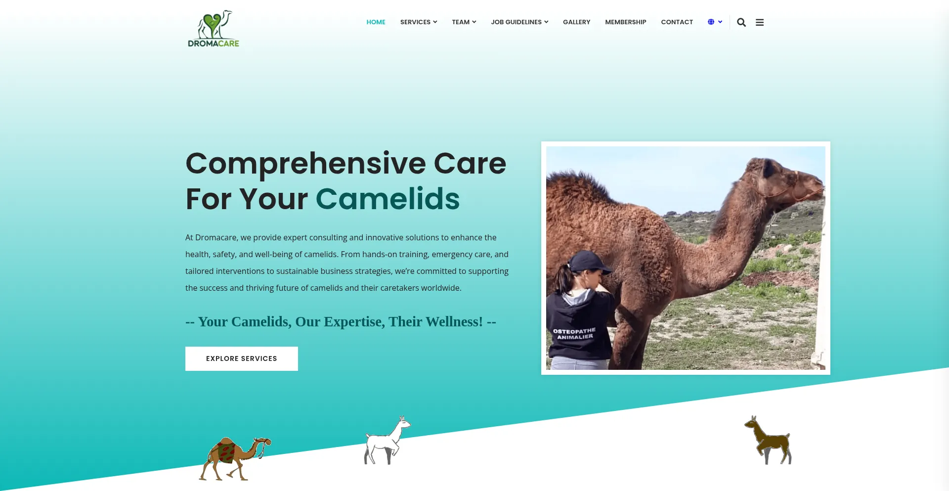 Dromacare.org