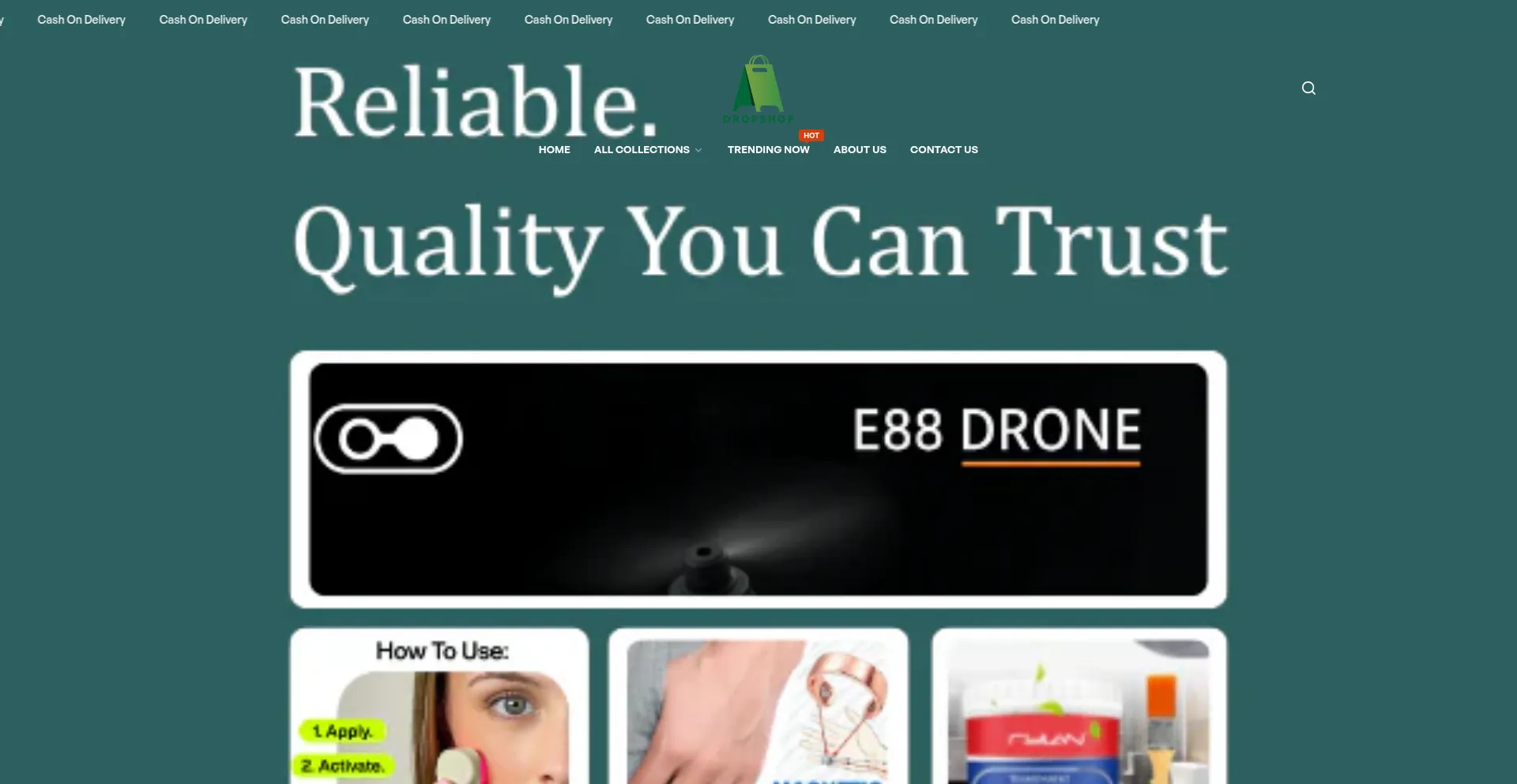 Website screenshot of Dropshop.life