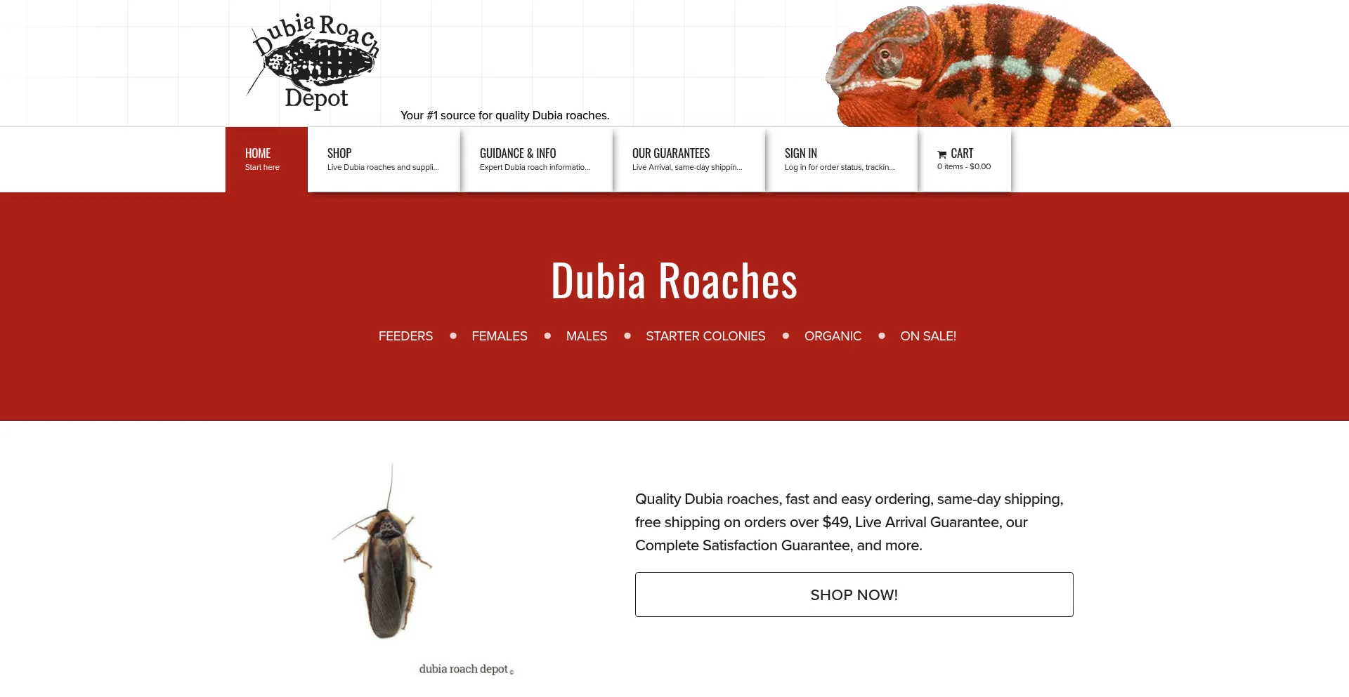 Website screenshot of Dubiaroachdepot.com