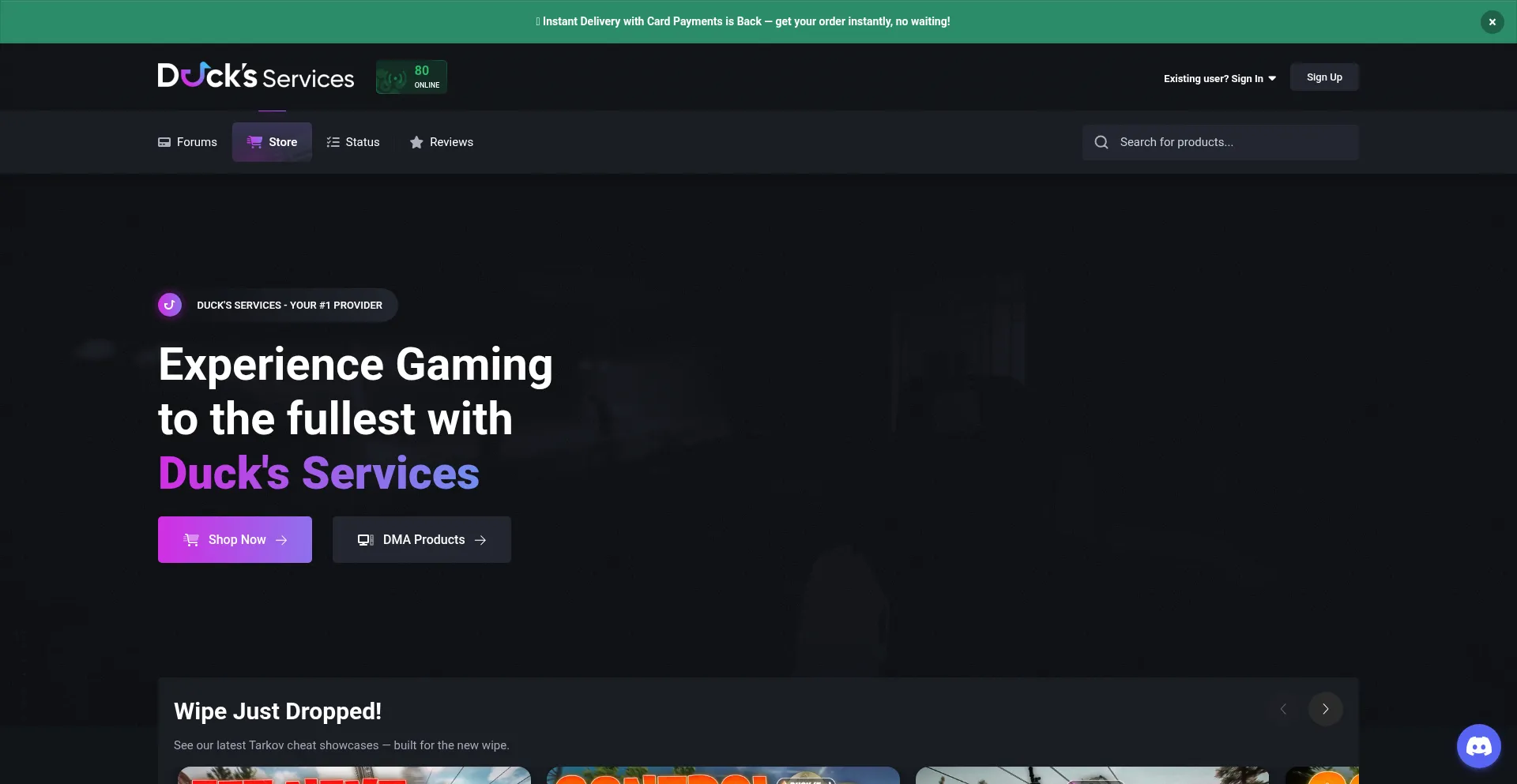 Ducks-services.com