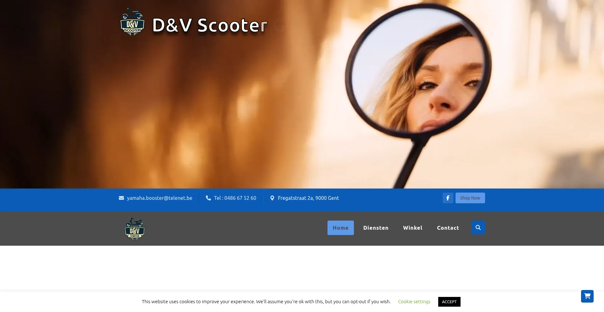 Website screenshot of Dv-scooter.be