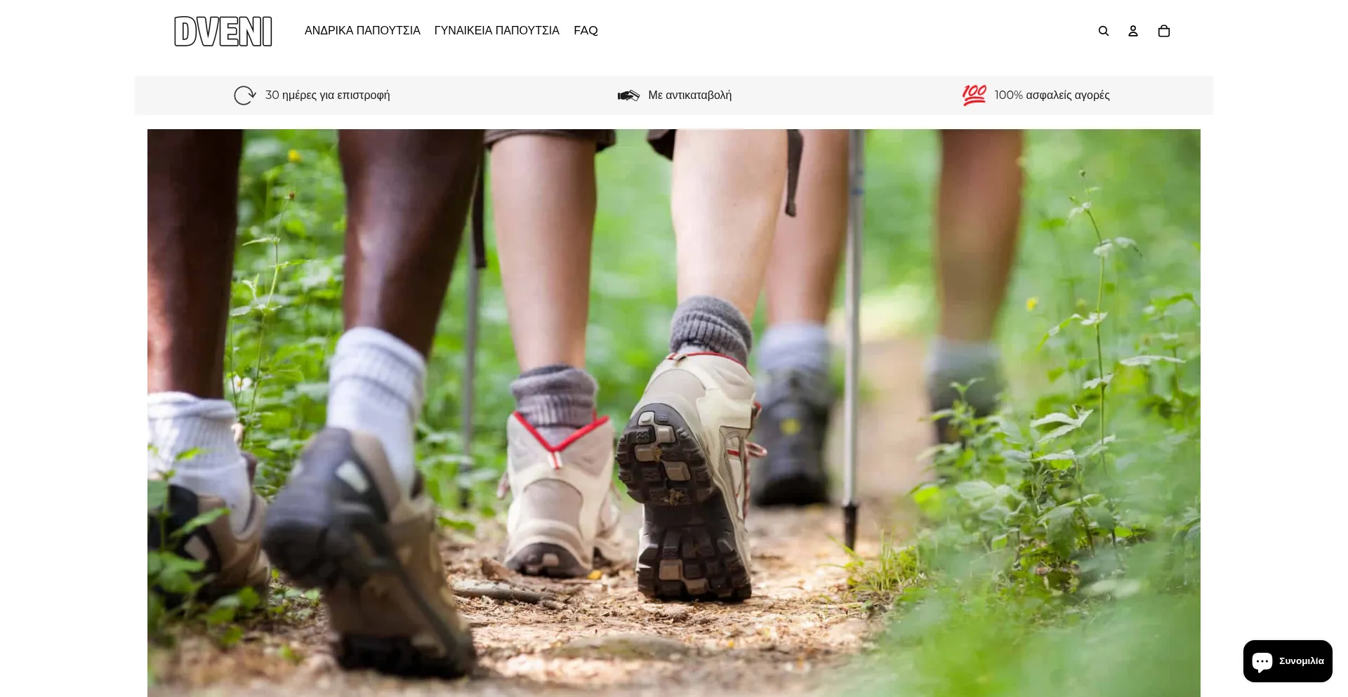 Website screenshot of Dveni.com