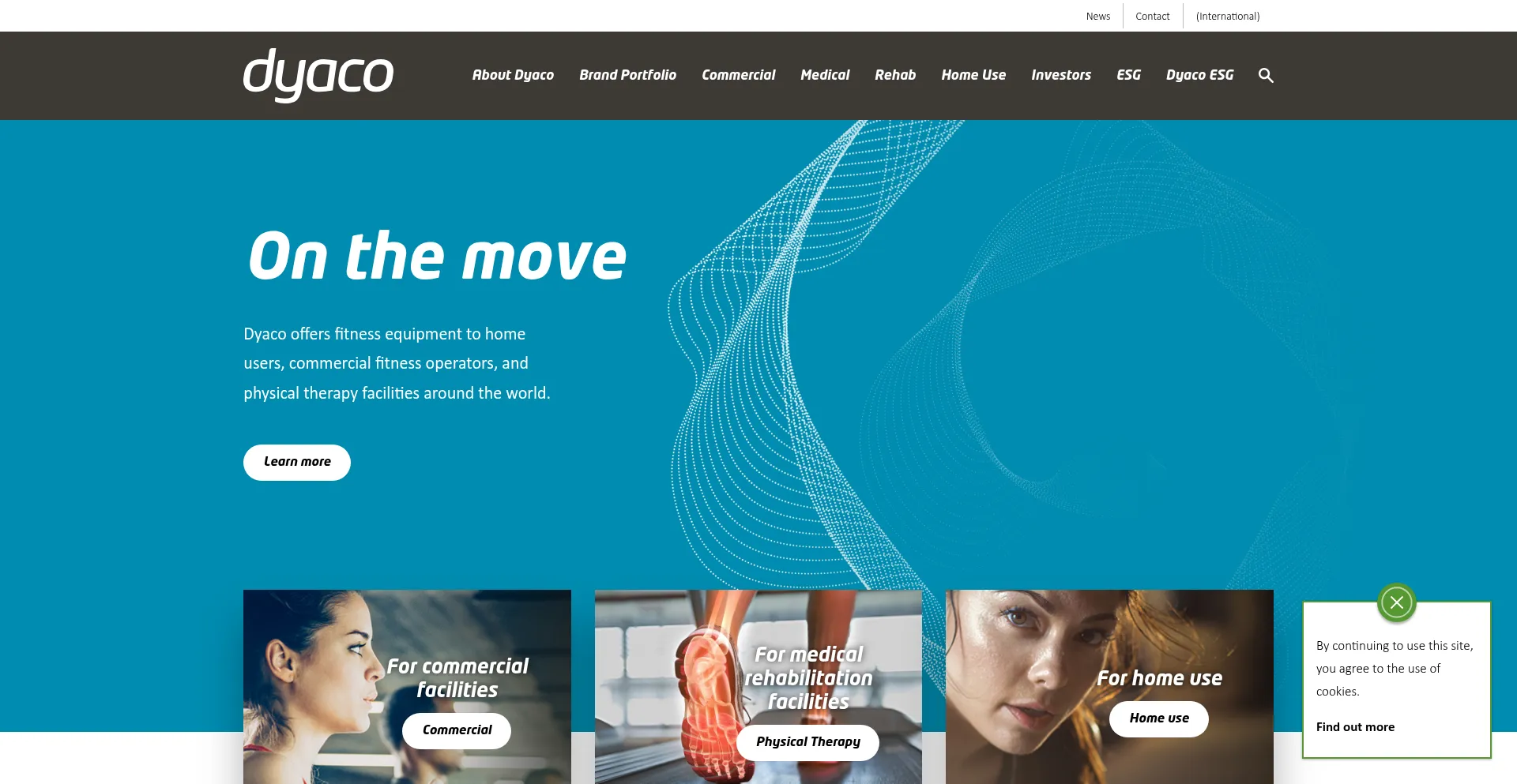 Website screenshot of Dyaco.com