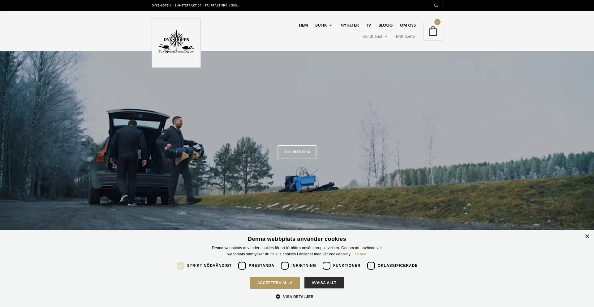 Website screenshot of Dykshopen.com