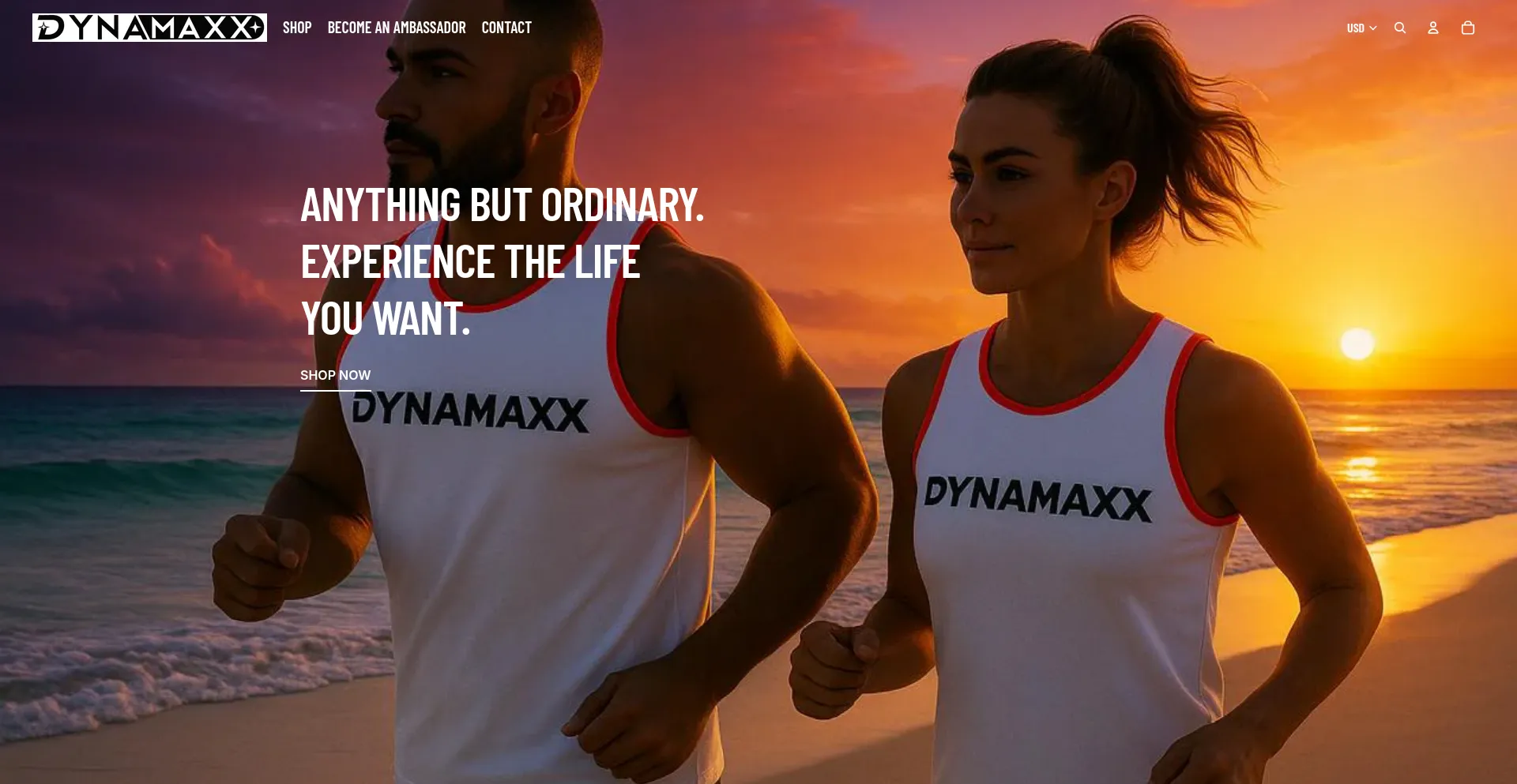Dynamaxx.com