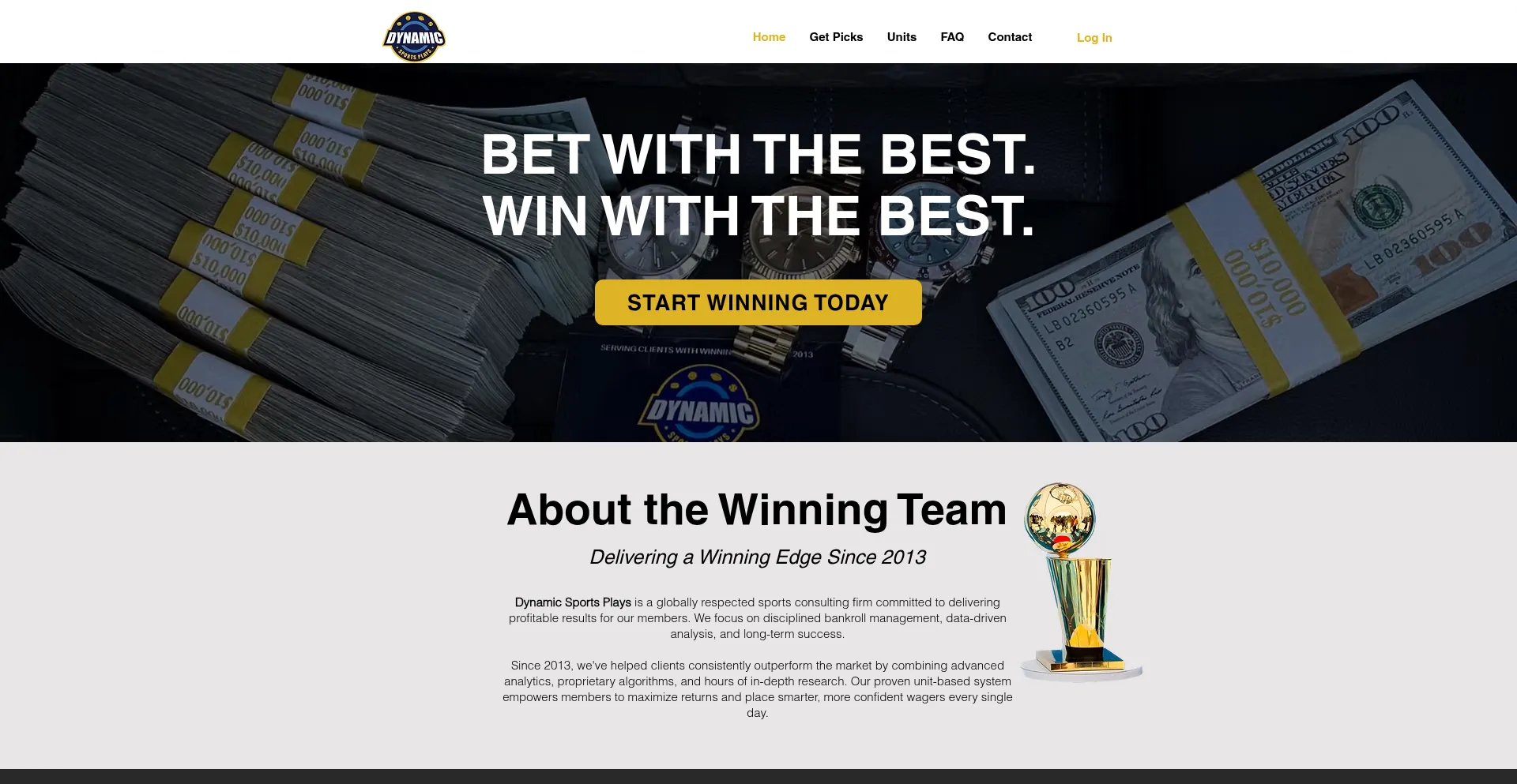 Website screenshot of Dynamicsportsplays.com