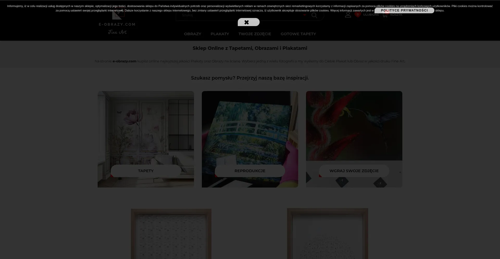 Website screenshot of E-obrazy.com