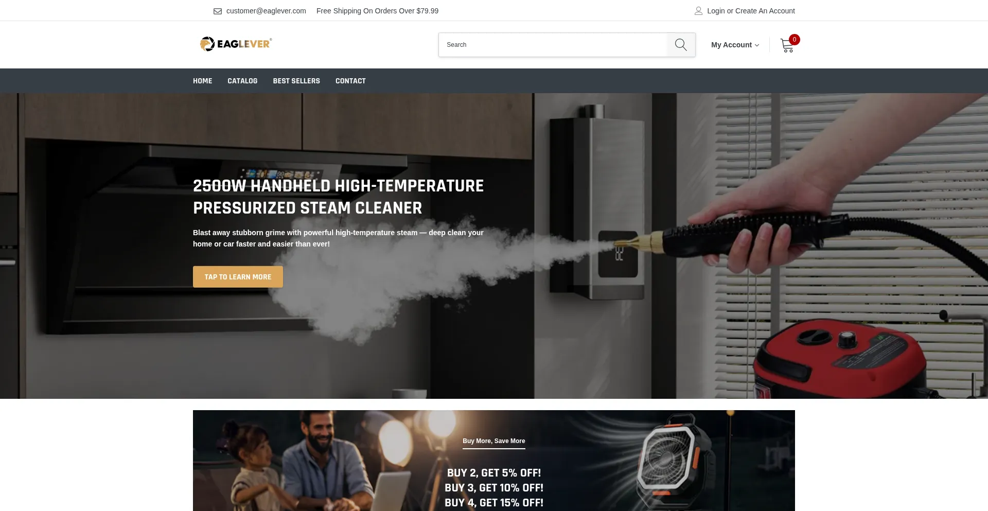 Website screenshot of Eaglever.com