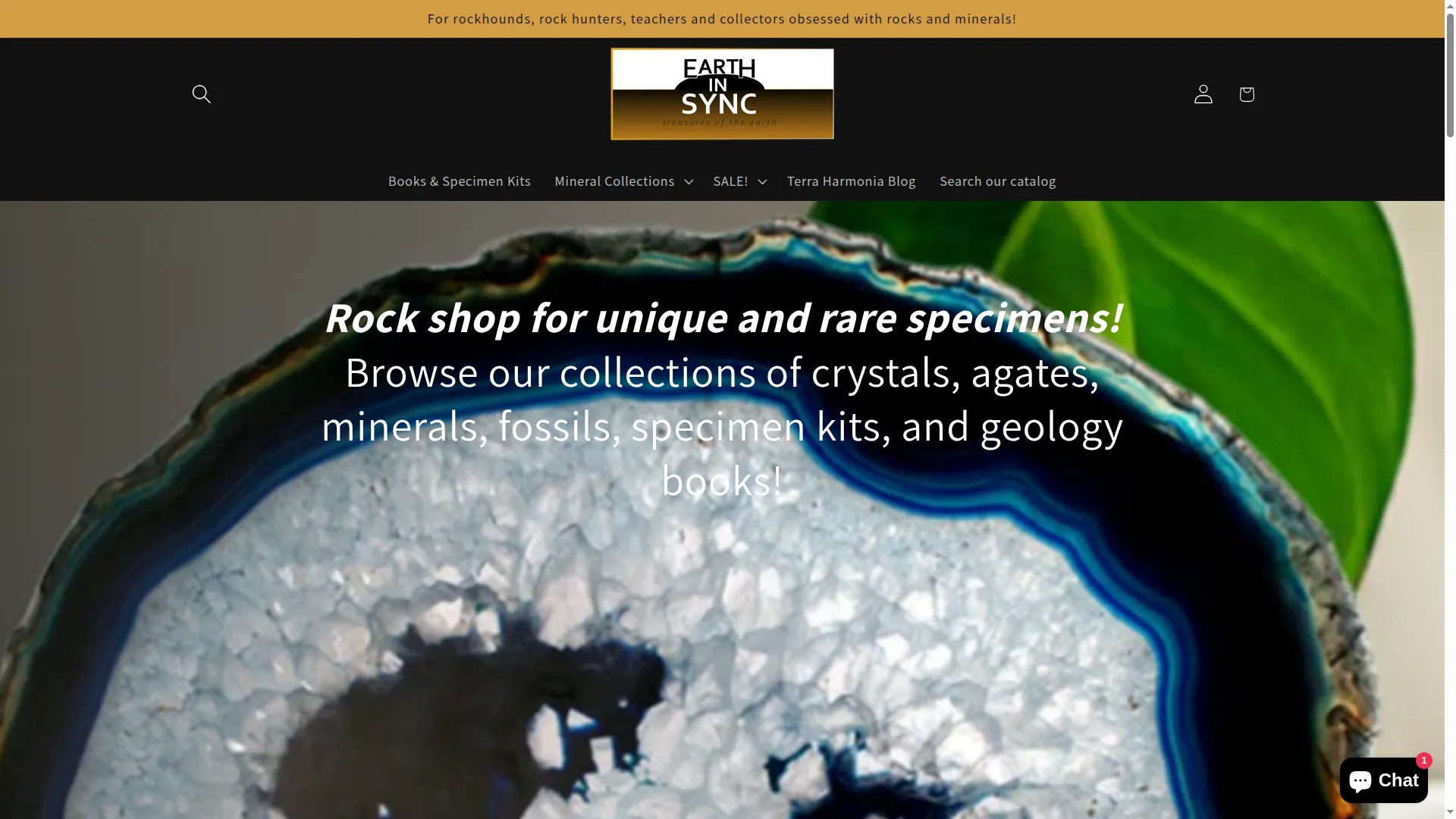 Earthinsync.com