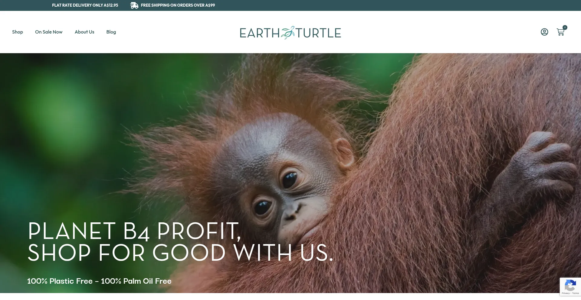 Website screenshot of Earthturtle.com.au
