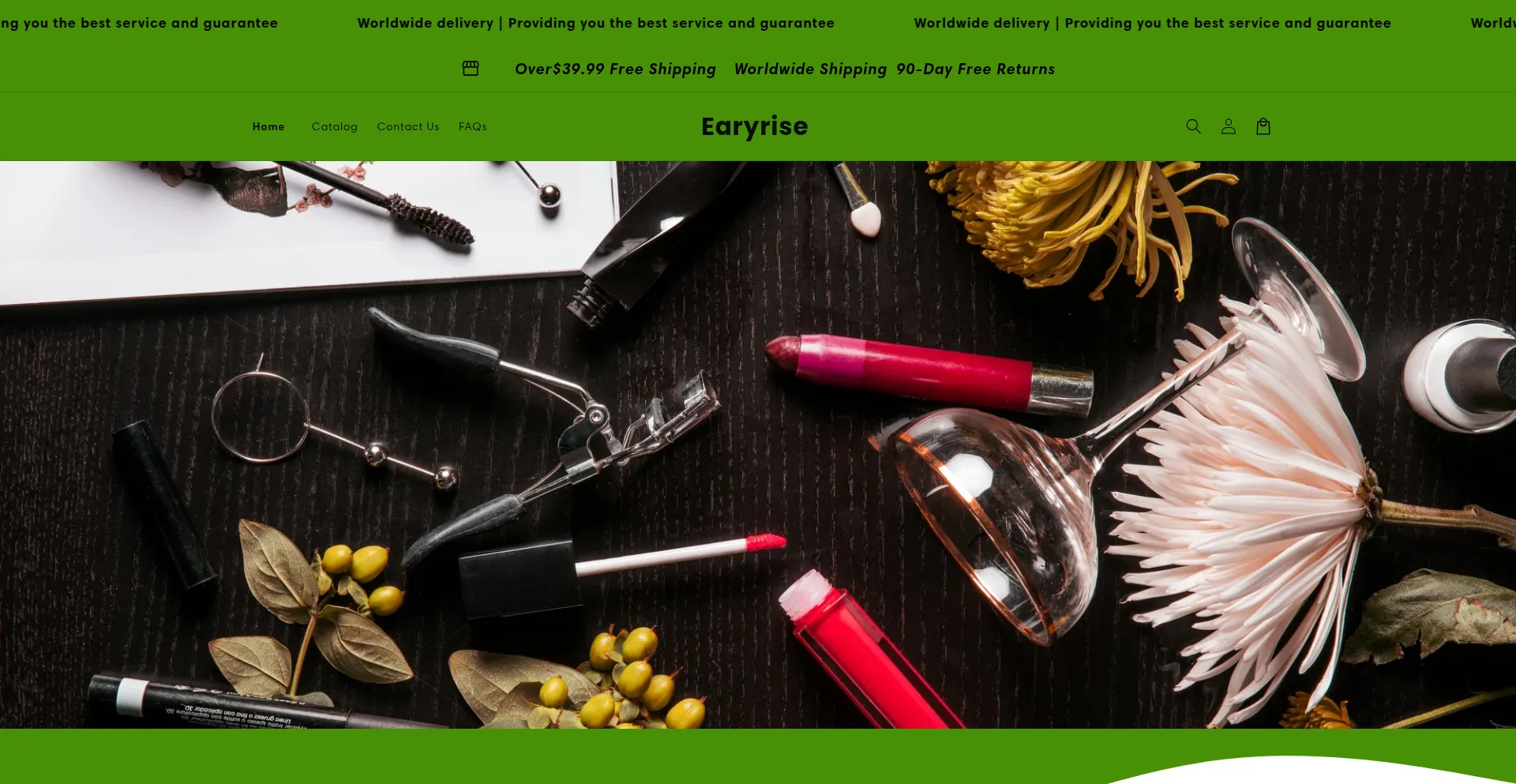 Website screenshot of Earyrise.com