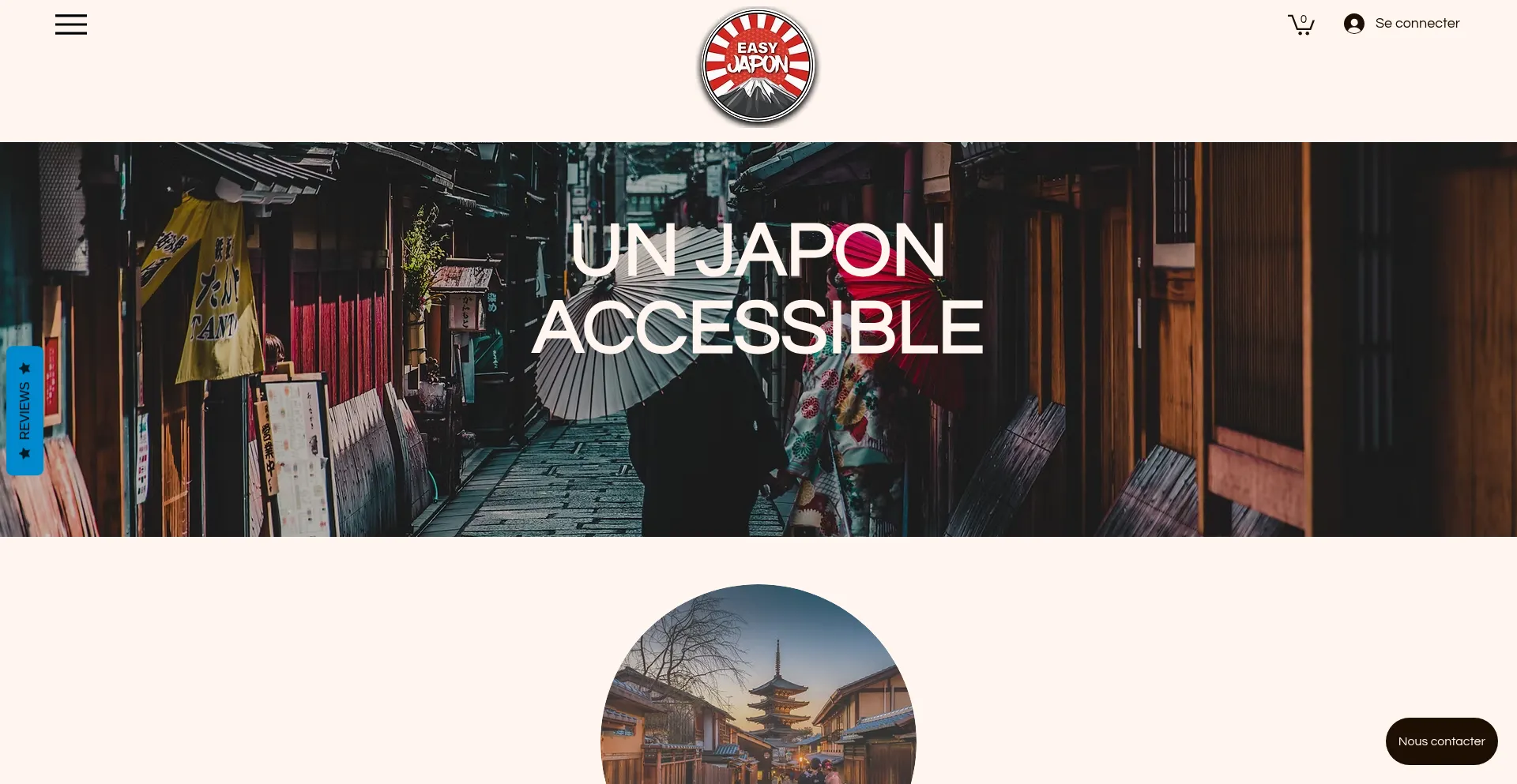Website screenshot of Easyjapon.com