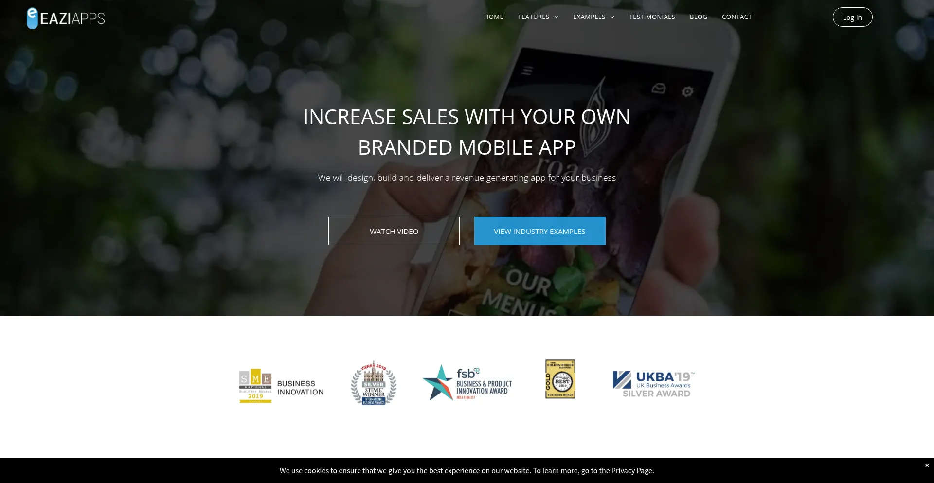 Website screenshot of Eazi-apps.co.uk
