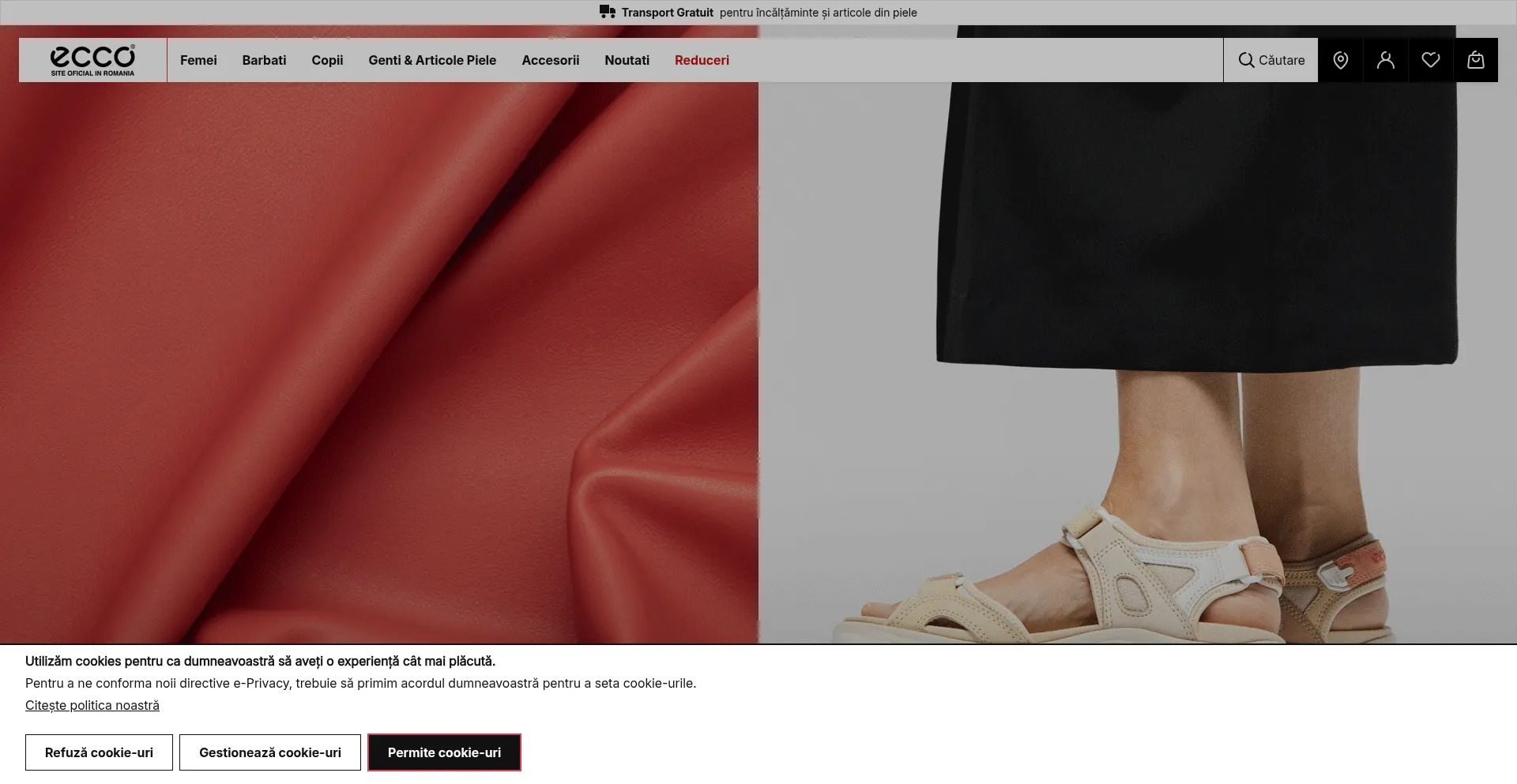 Website screenshot of Ecco-shoes.ro