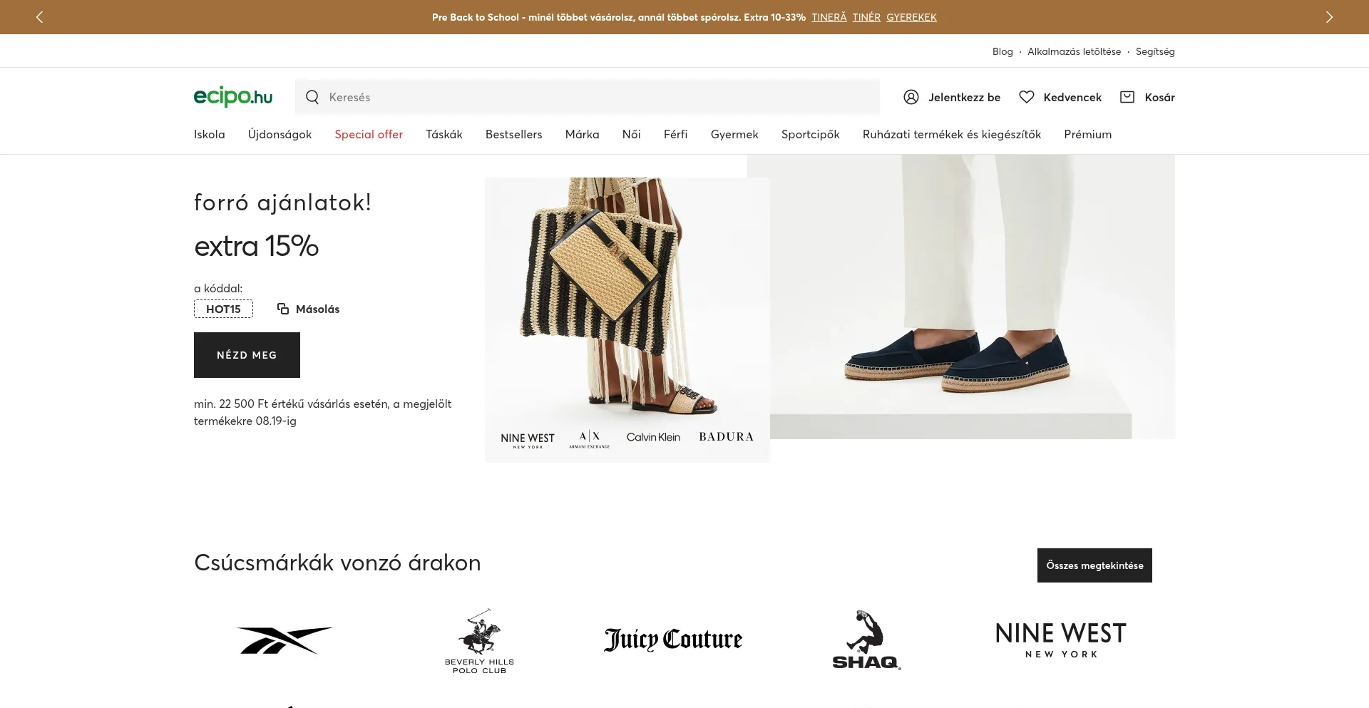 Website screenshot of Ecipo.hu