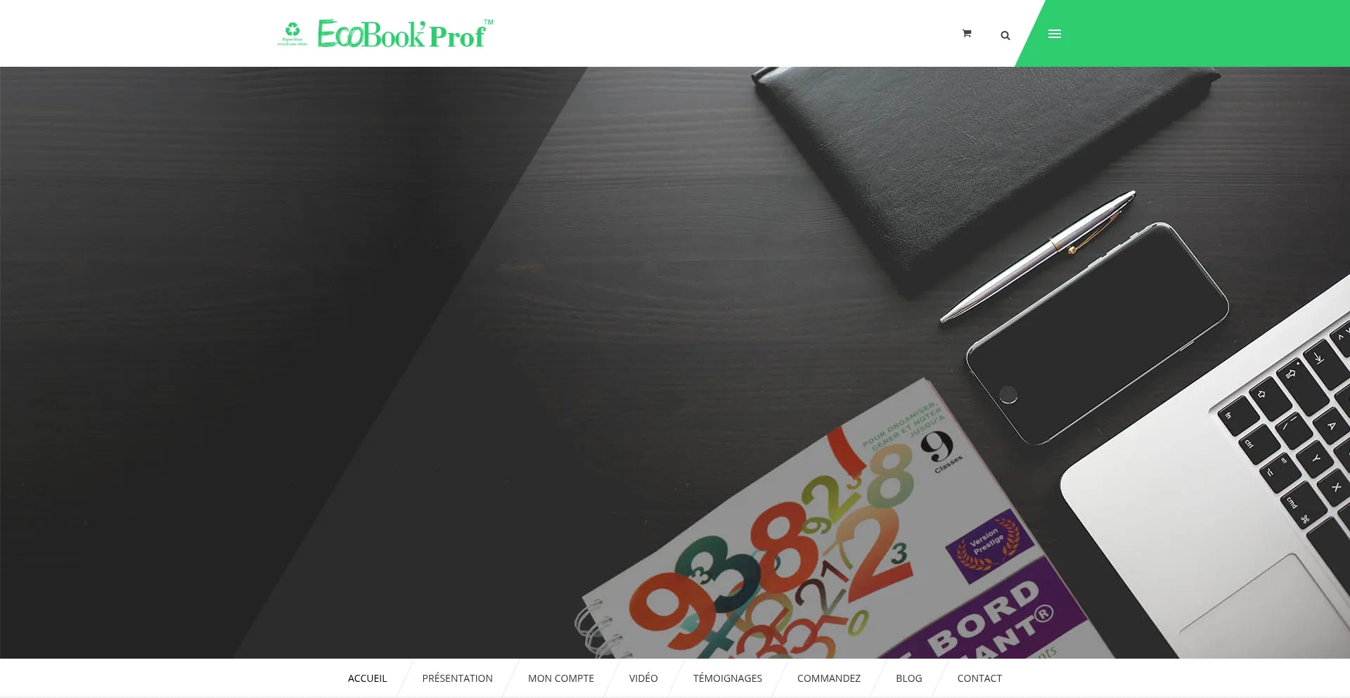 Website screenshot of Ecobookprof.com