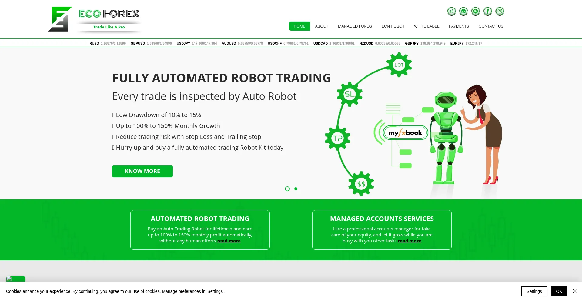 Website screenshot of Ecoforex.net