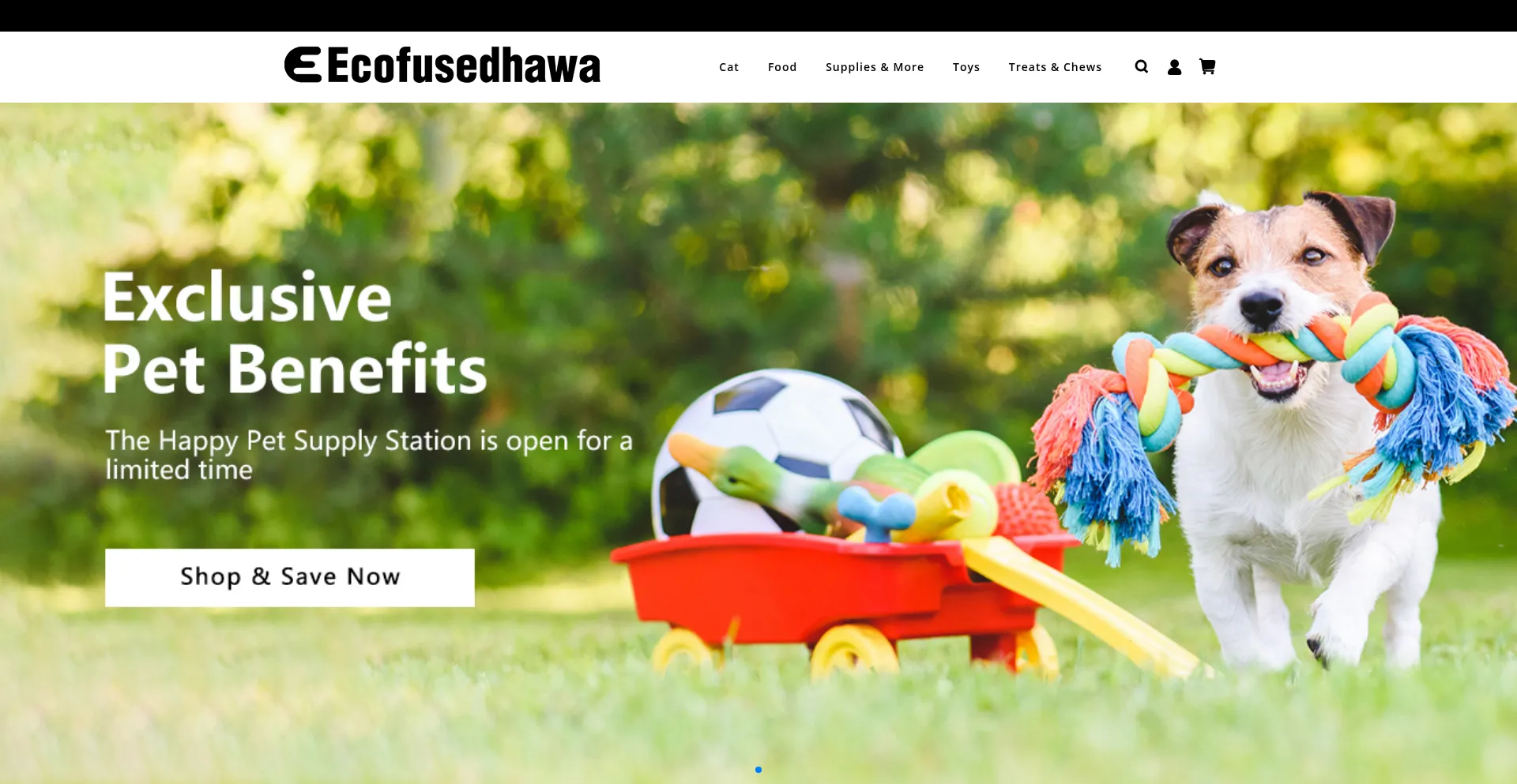 Website screenshot of Ecofusedhawa.com