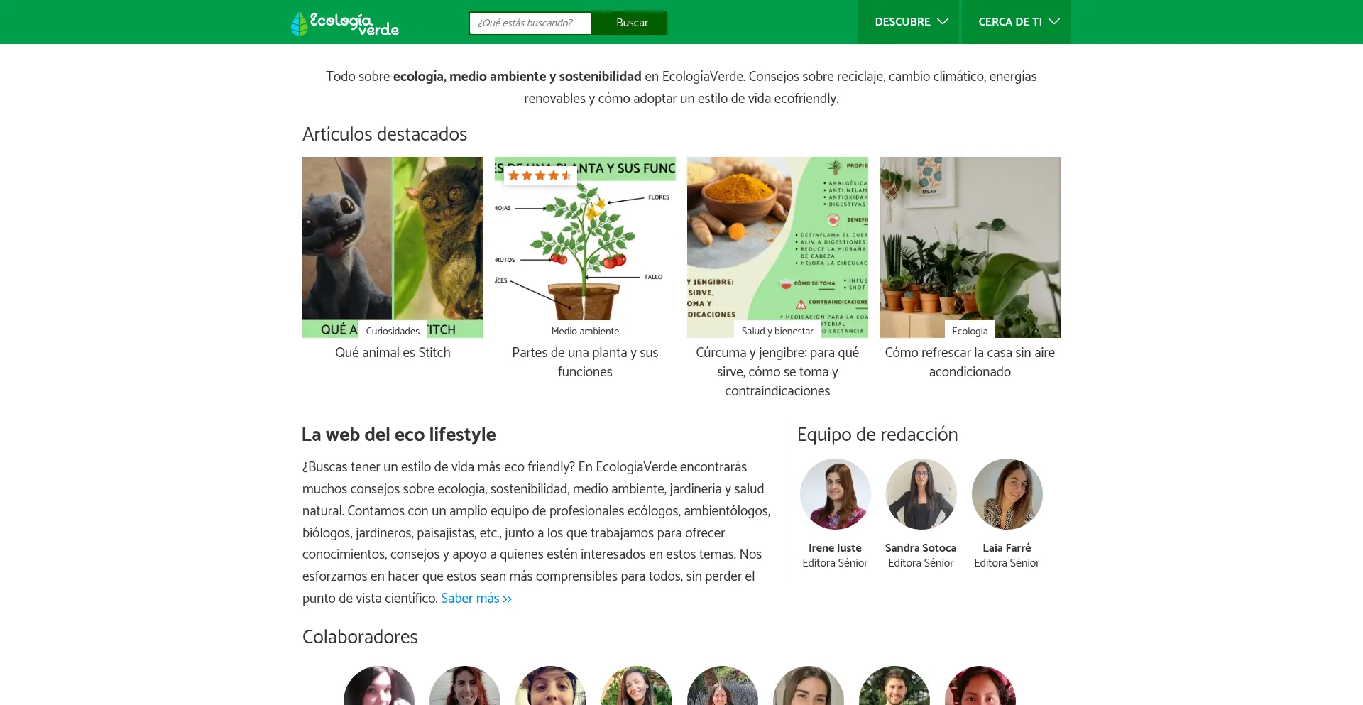Website screenshot of Ecologiaverde.com