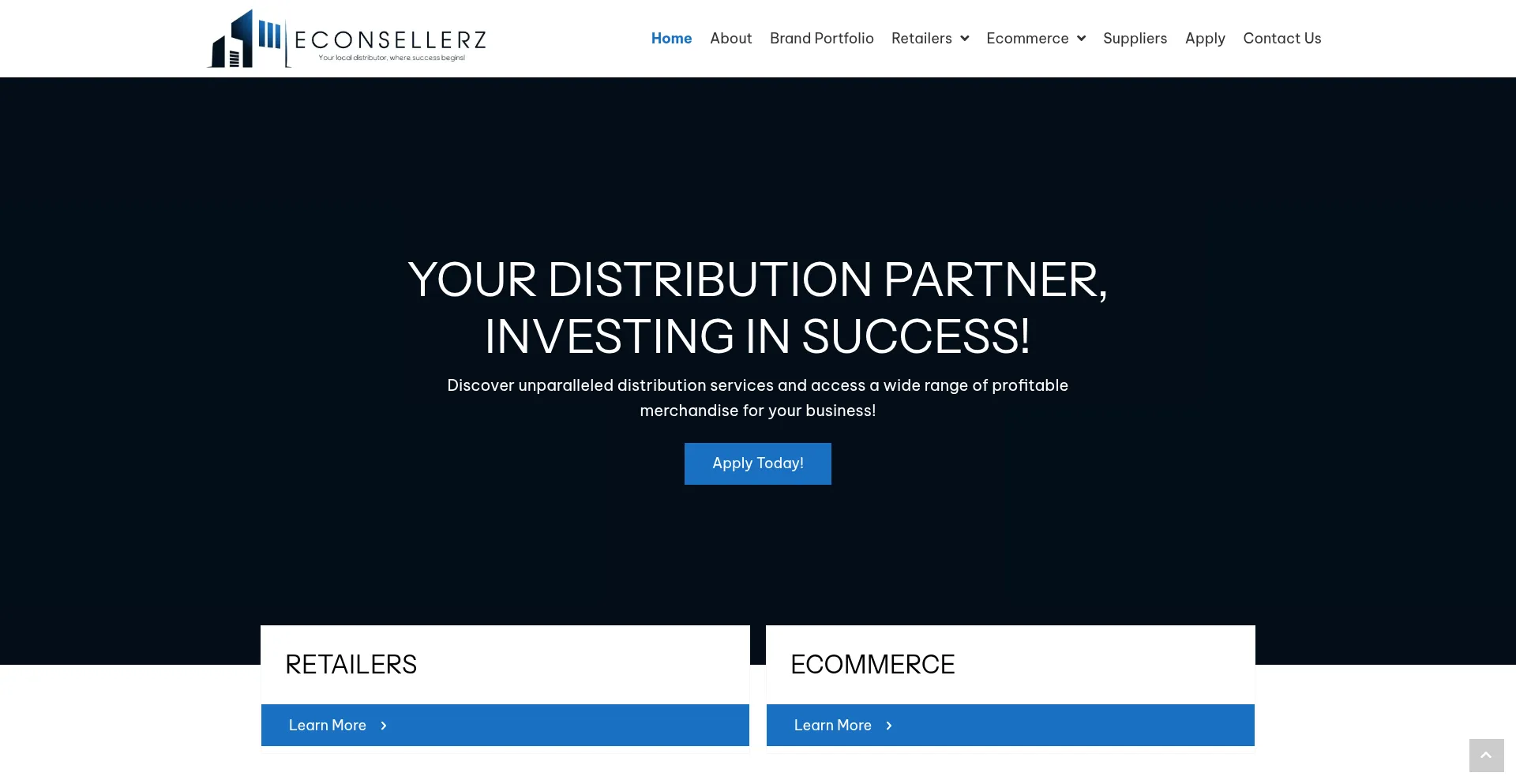 Website screenshot of Econsellerz.com