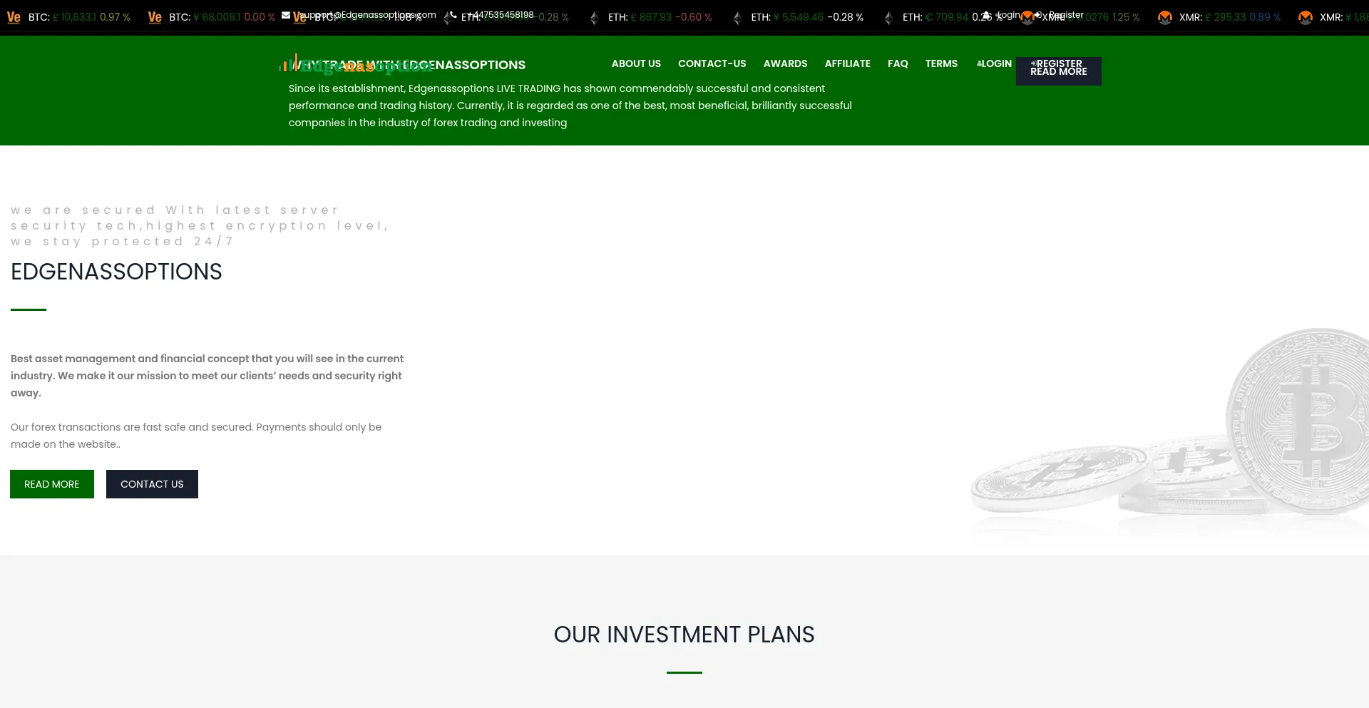 Website screenshot of Edgenassoptions.com