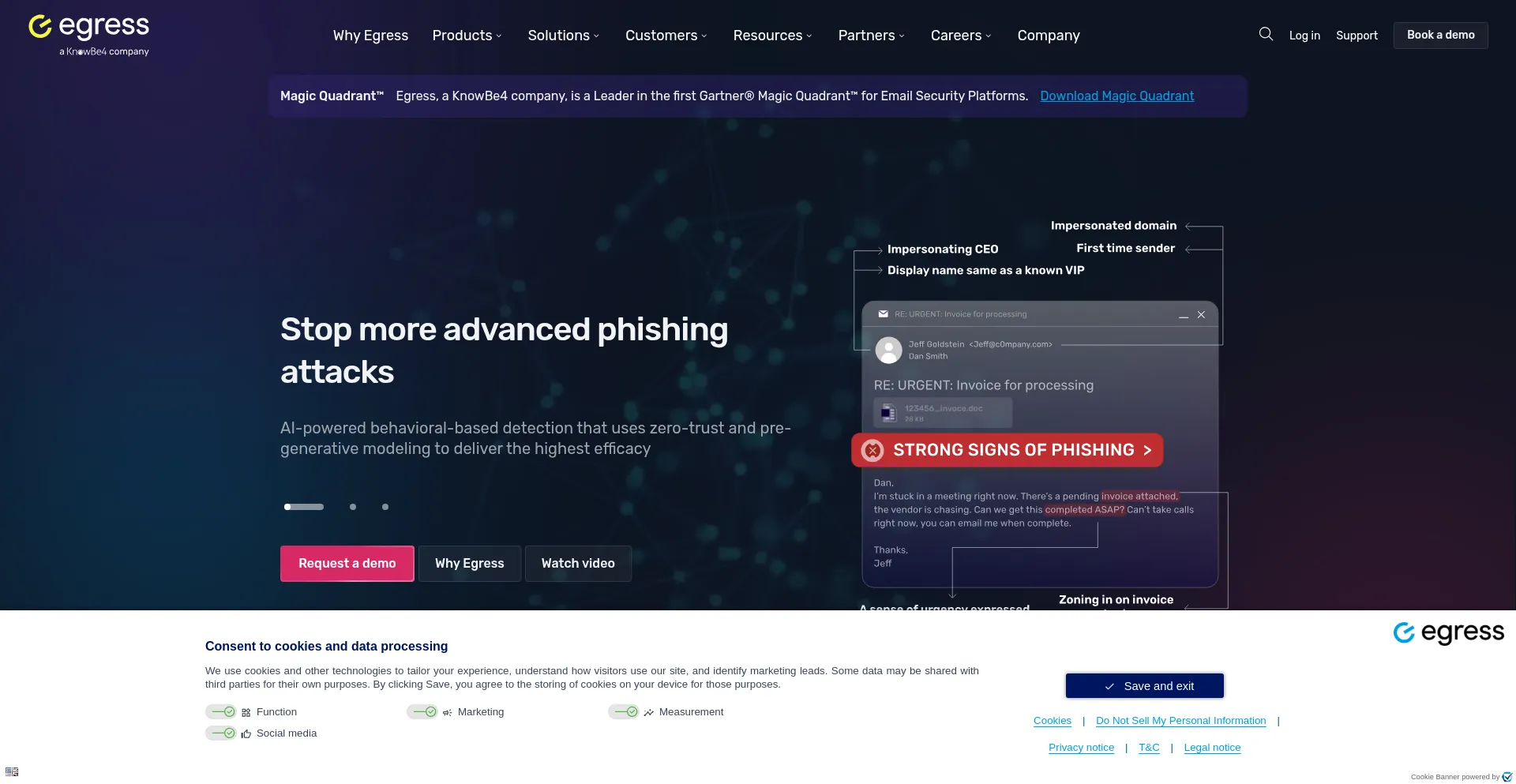 Website screenshot of Egress.com