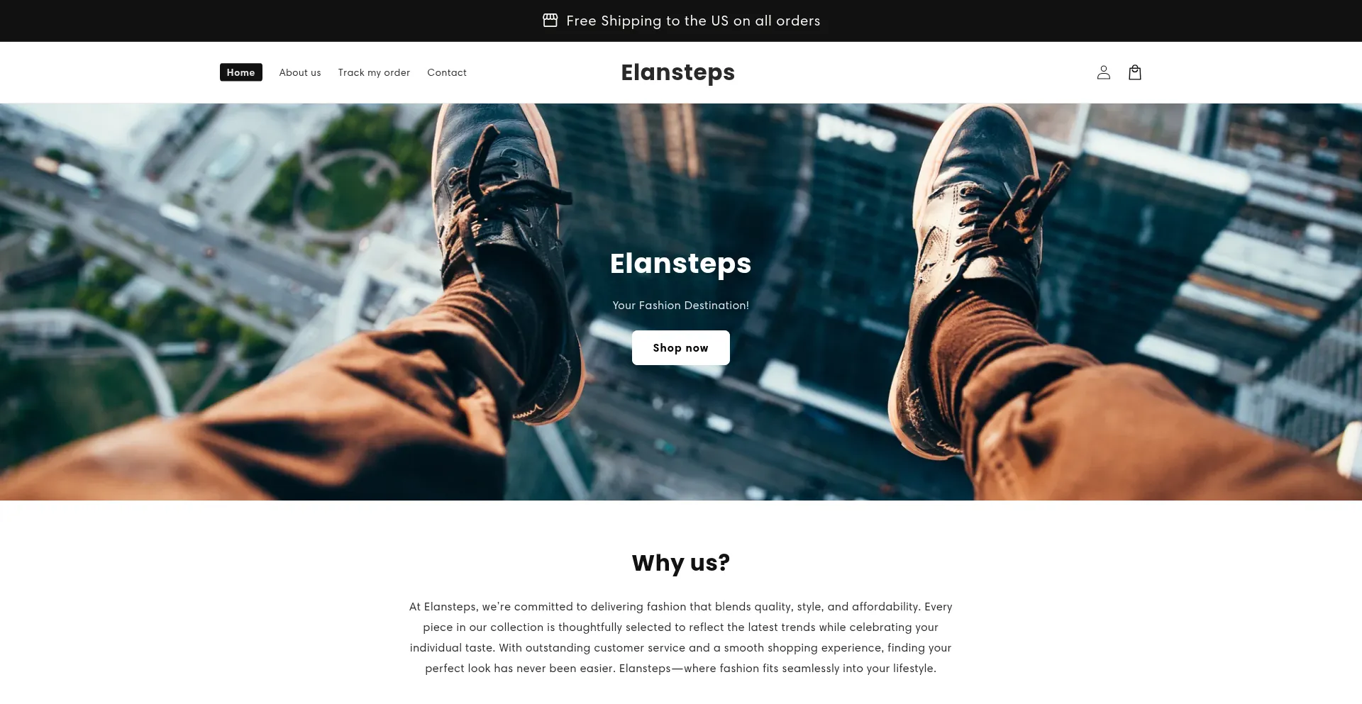 Website screenshot of Elansteps.com
