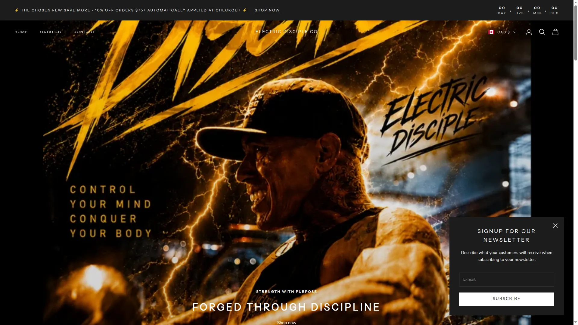 Electricdiscipleco.com