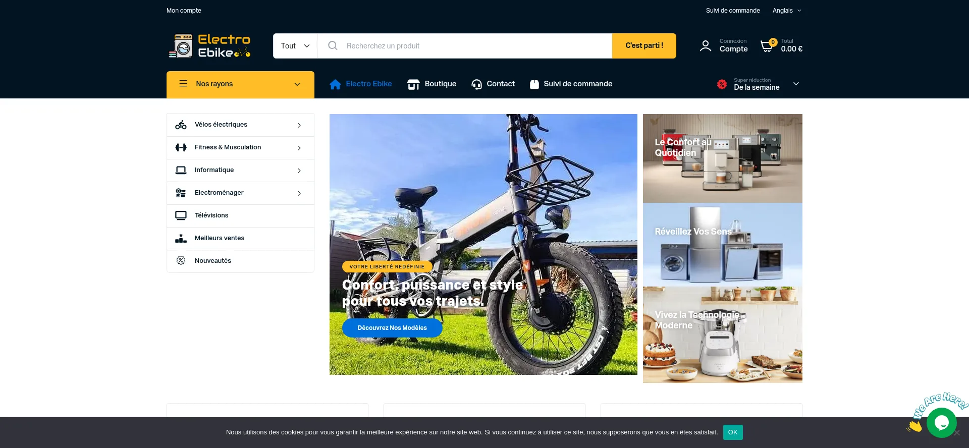 Website screenshot of Electro-ebike.com