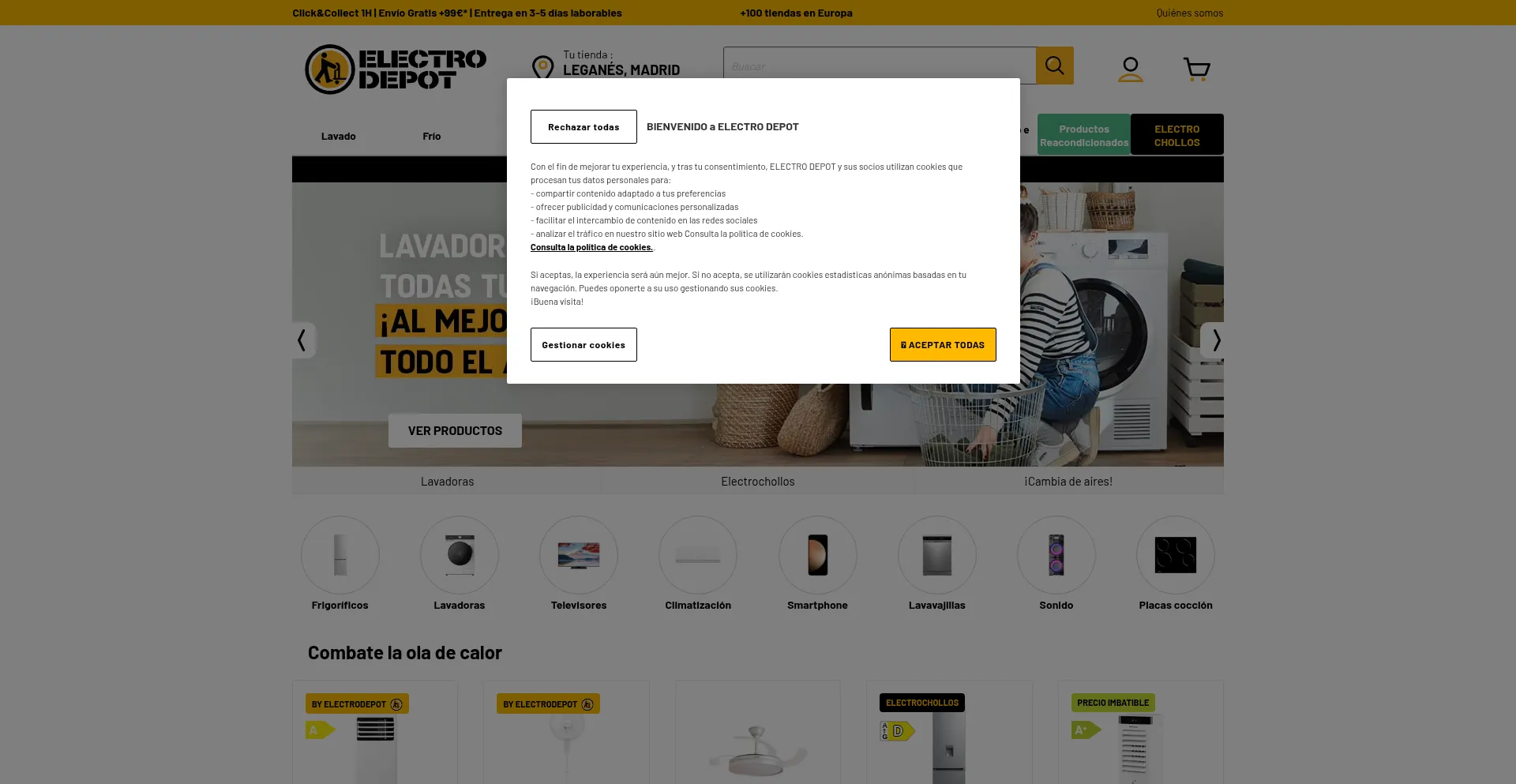 Website screenshot of Electrodepot.es