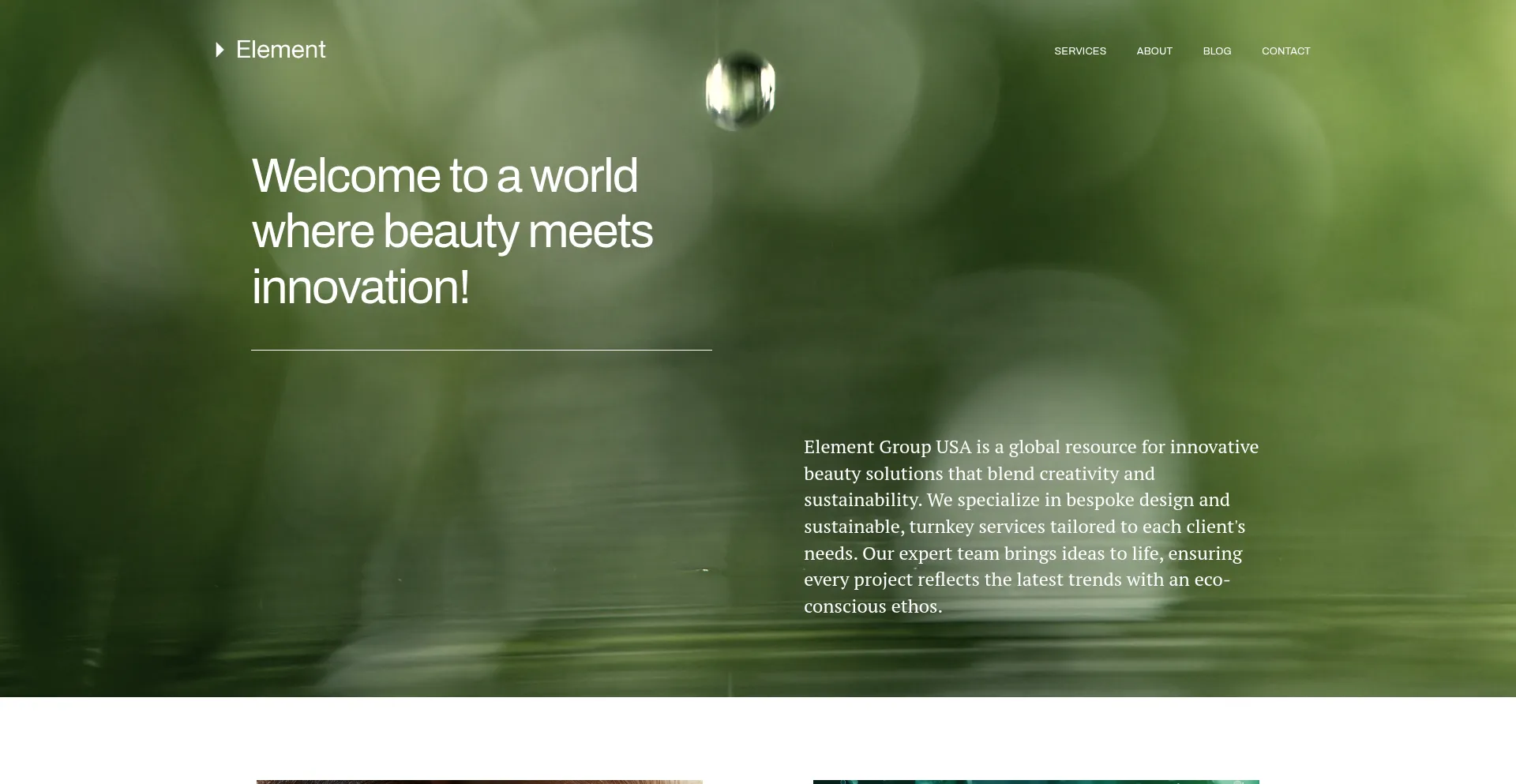 Elementgroupusa.com