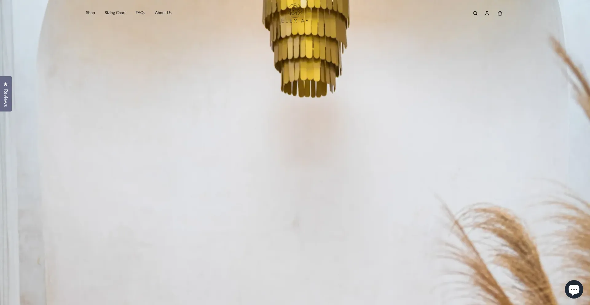 Website screenshot of Elexiay.com