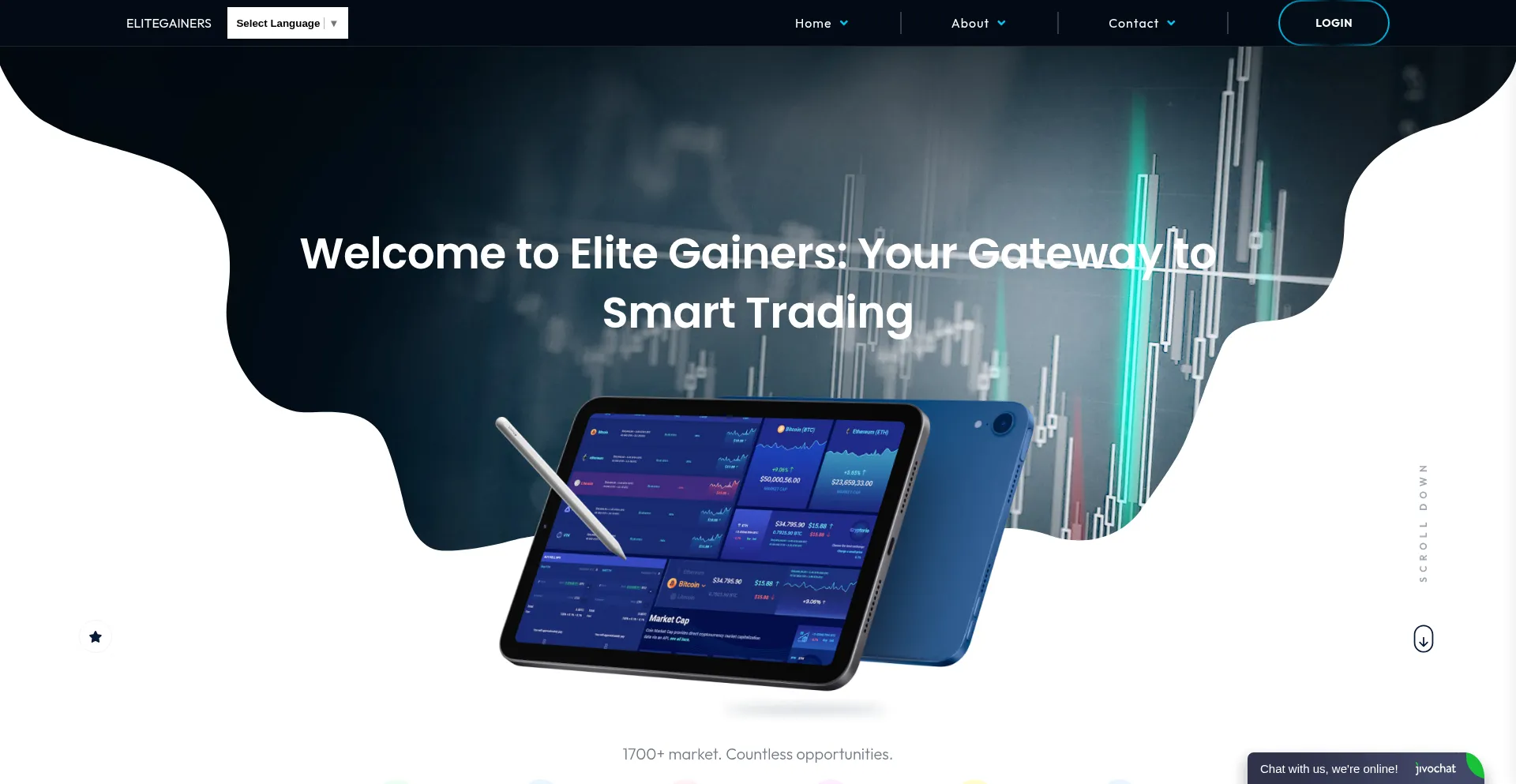 Website screenshot of Elitegainers.net