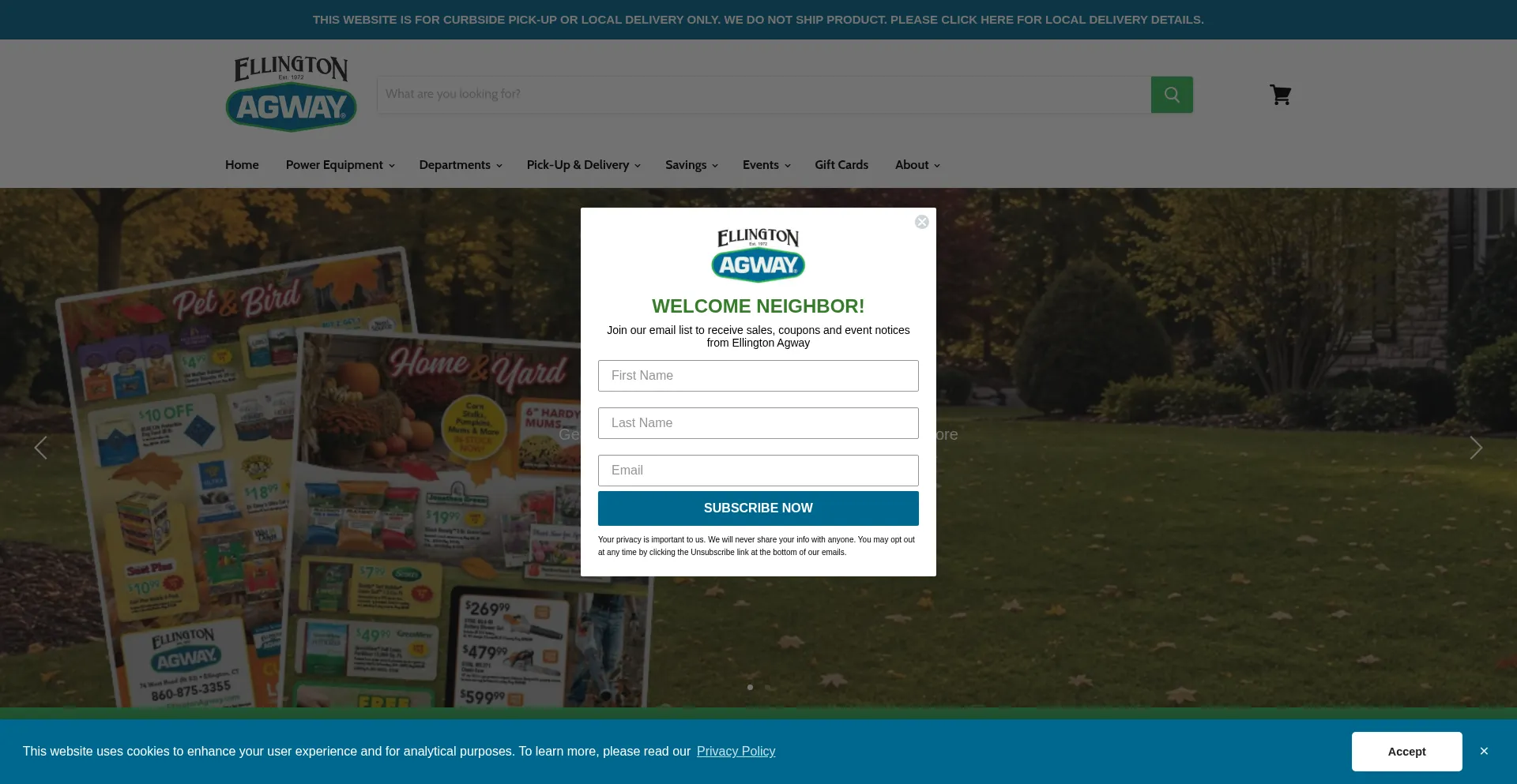 Ellingtonagway.com
