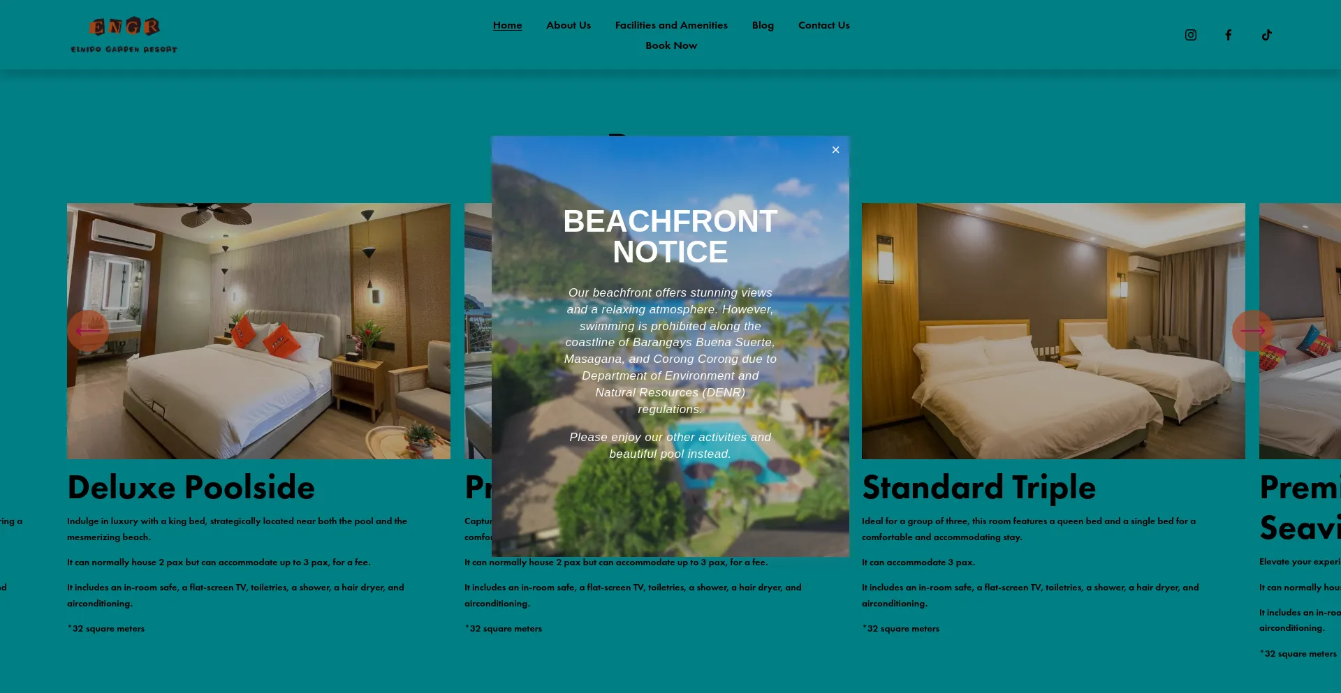 Website screenshot of Elnidogardenresortph.com