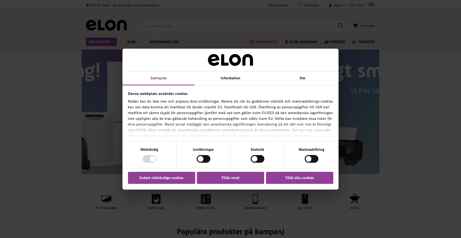 Website screenshot of Elon.se
