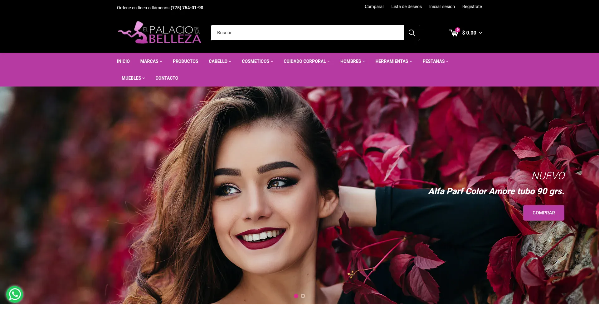 Elpalaciodelabelleza.com.mx