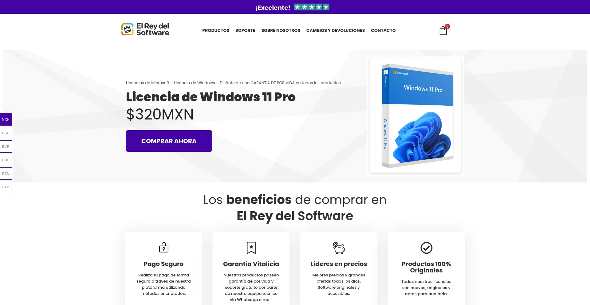 Website screenshot of Elreydelsoftware.com