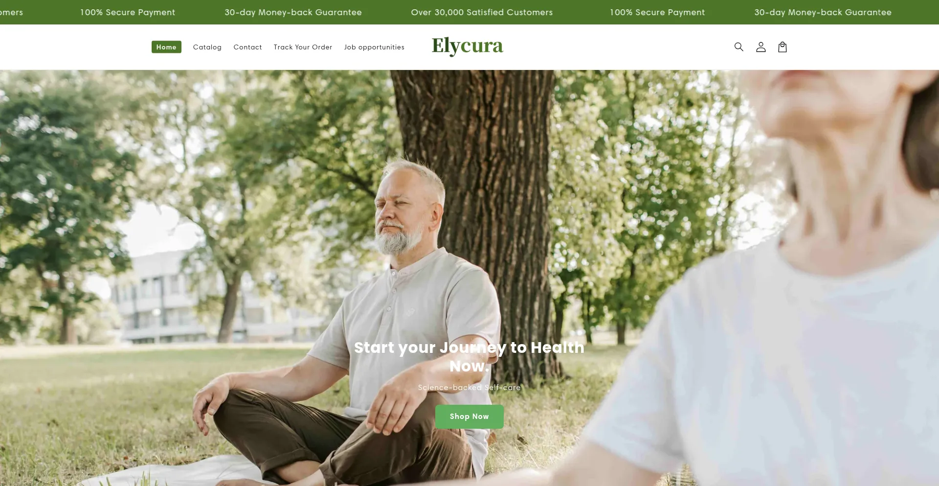 Website screenshot of Elycura-ca.com