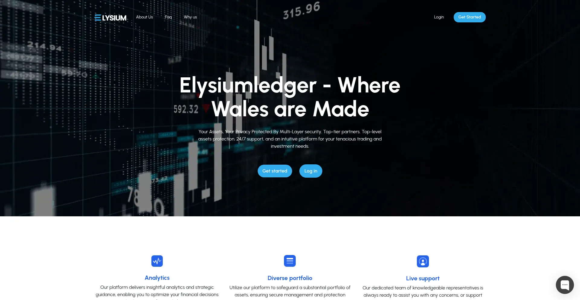 Elysiumledger.com