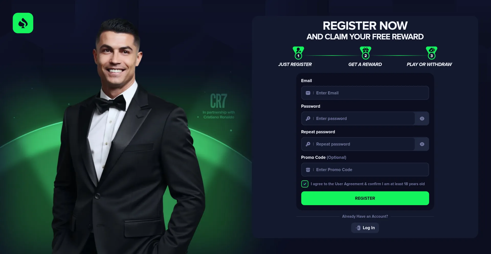 Website screenshot of Emerald500.com