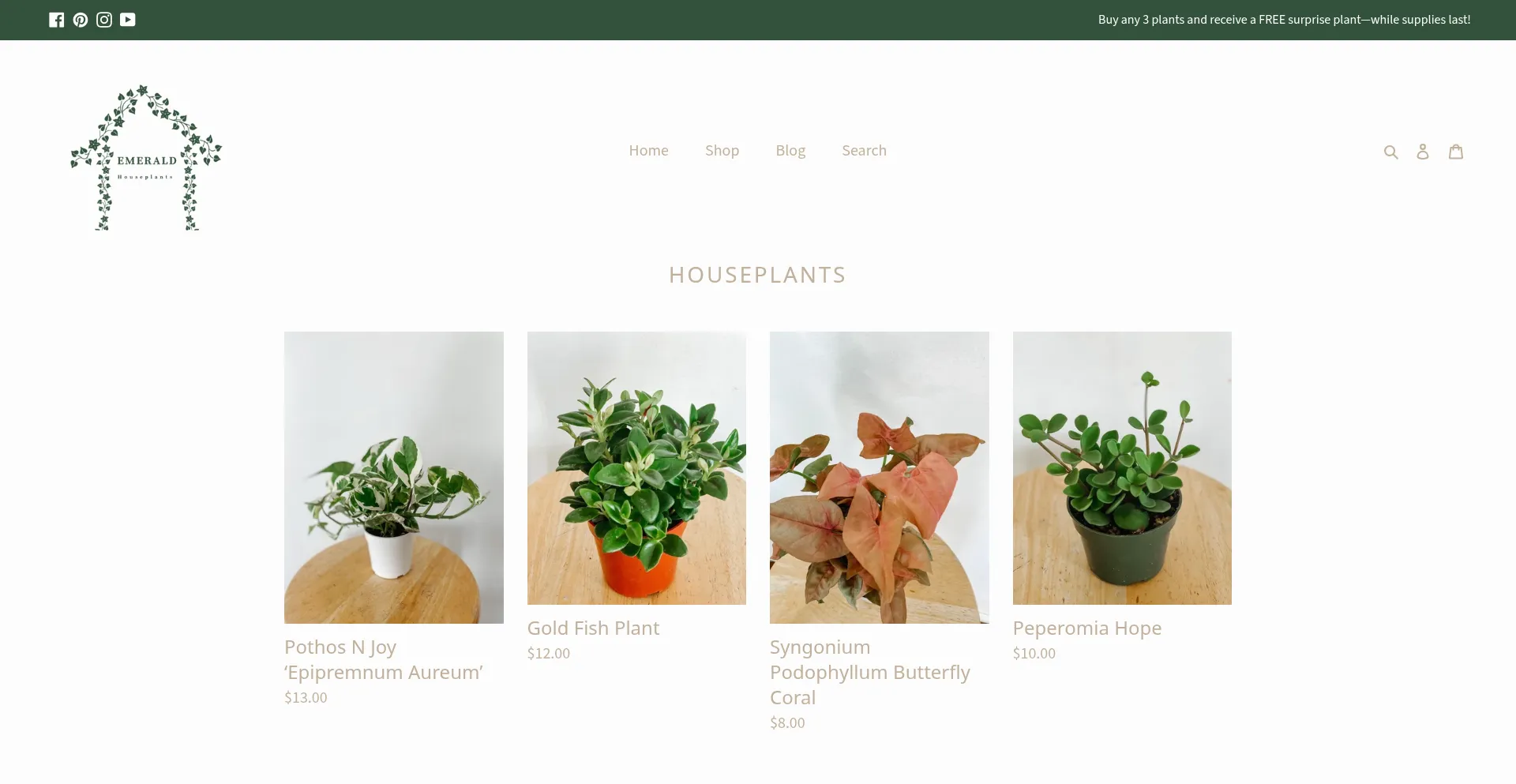 Emeraldhouseplants.com